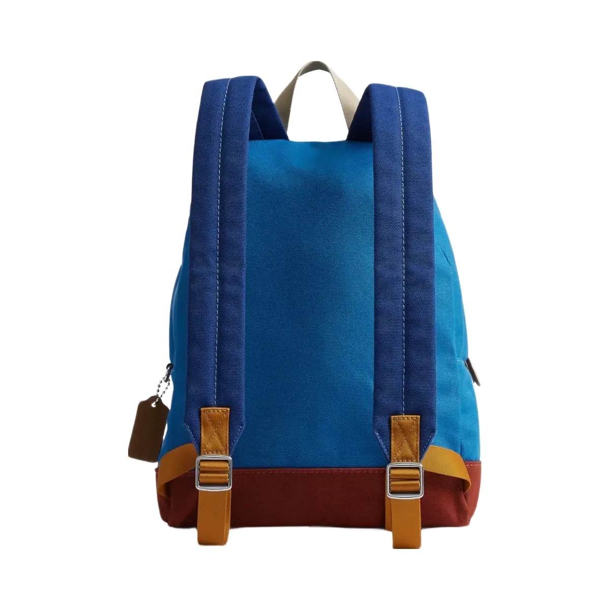 Coach Tyler Backpack in Silver Blue Multi - HypeFly India View 3