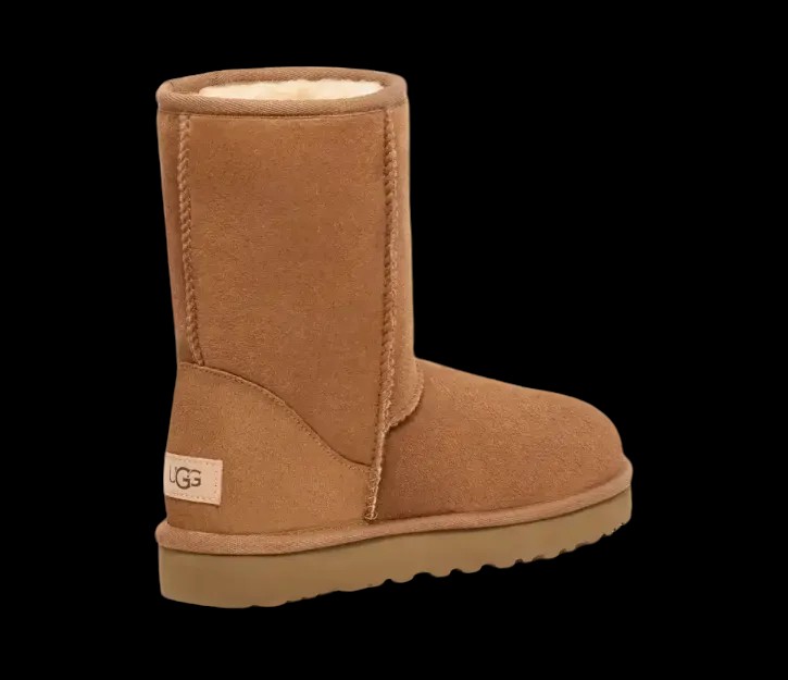 Uggs Men's Classic Short Chestnut - HypeFly India View 3