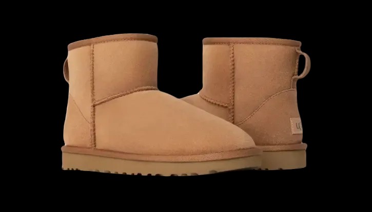 Uggs Classic Mini II Boot Chestnut - HypeFly India View 2