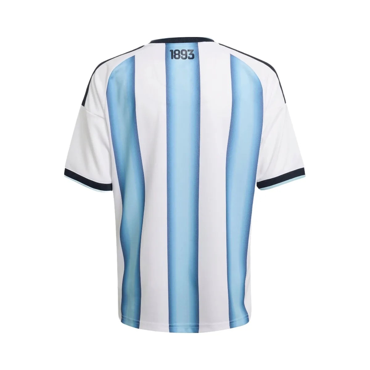 FIFA 2026 Argentina Home Jersey - Youth - HypeFly India View 2