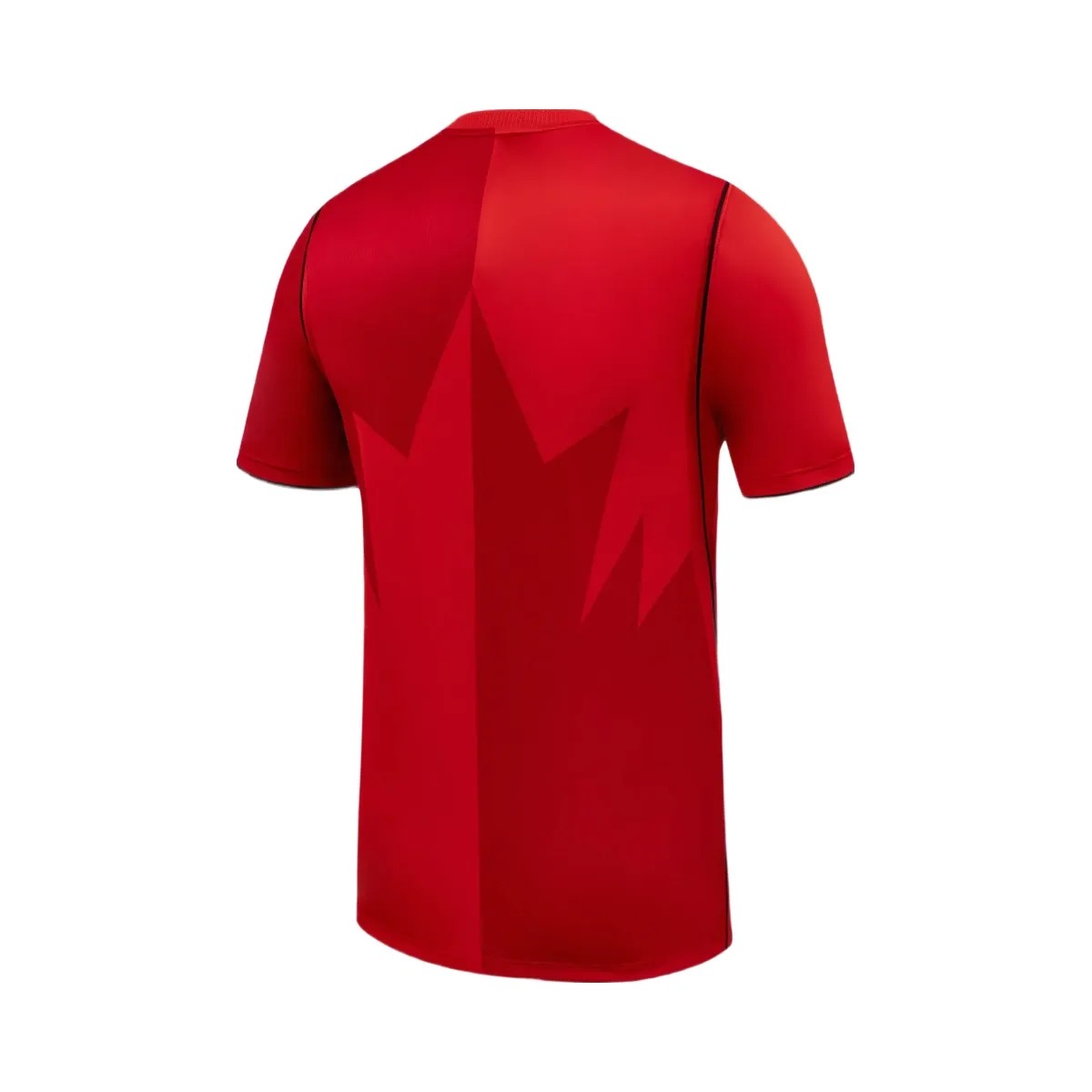 FIFA 2026 Canada Home Jersey - Men's - HypeFly India View 2