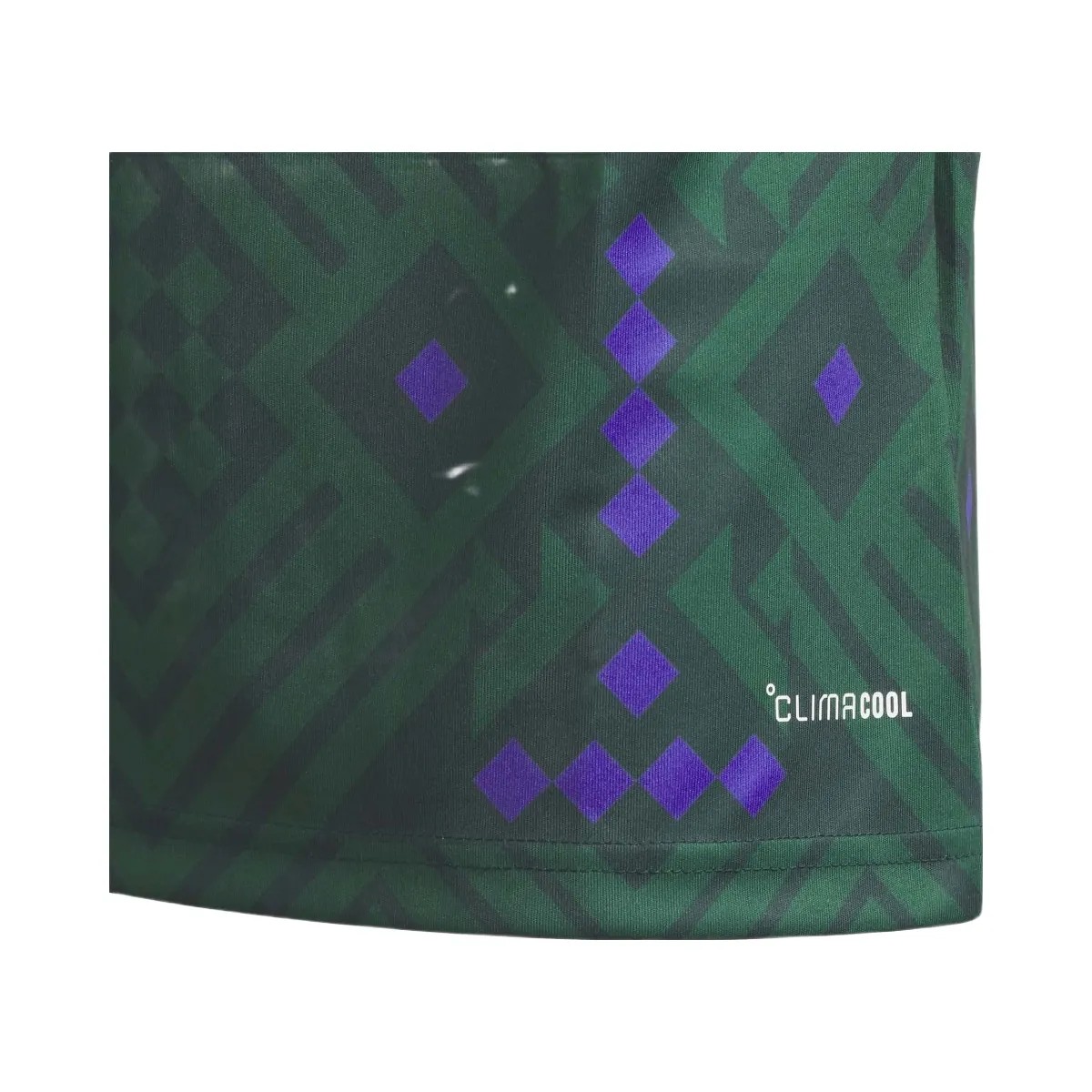 FIFA 2026 Saudi Arabia Home Jersey - Youth - HypeFly India View 4