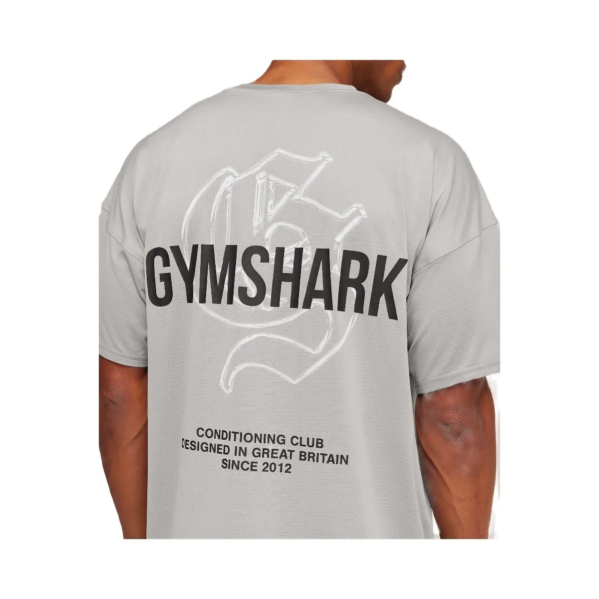Gymshark Chrome Graphic T-Shirt "Stratus Grey" - HypeFly India View 5