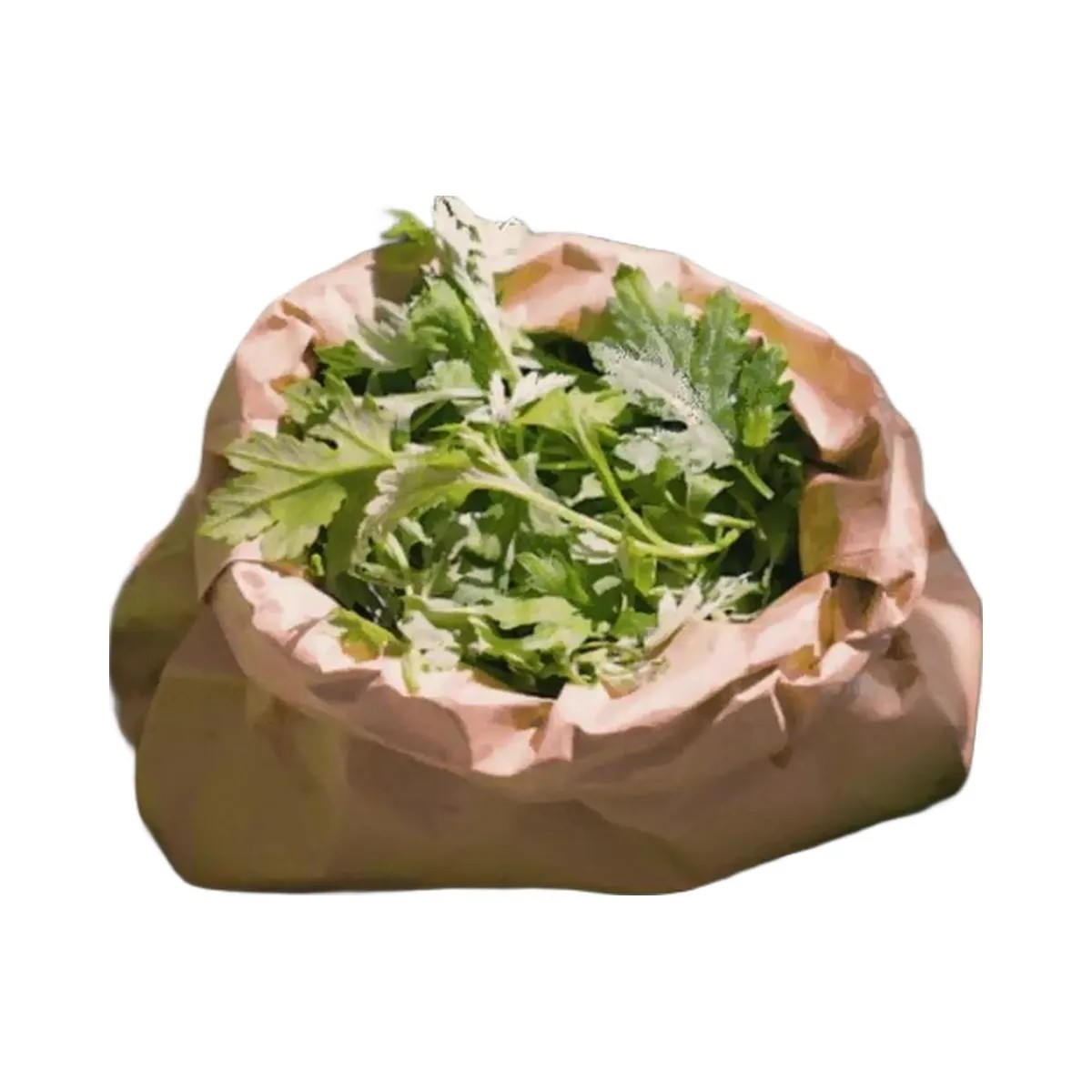 I'm From Mugwort Gel Cleanser - HypeFly India View 4
