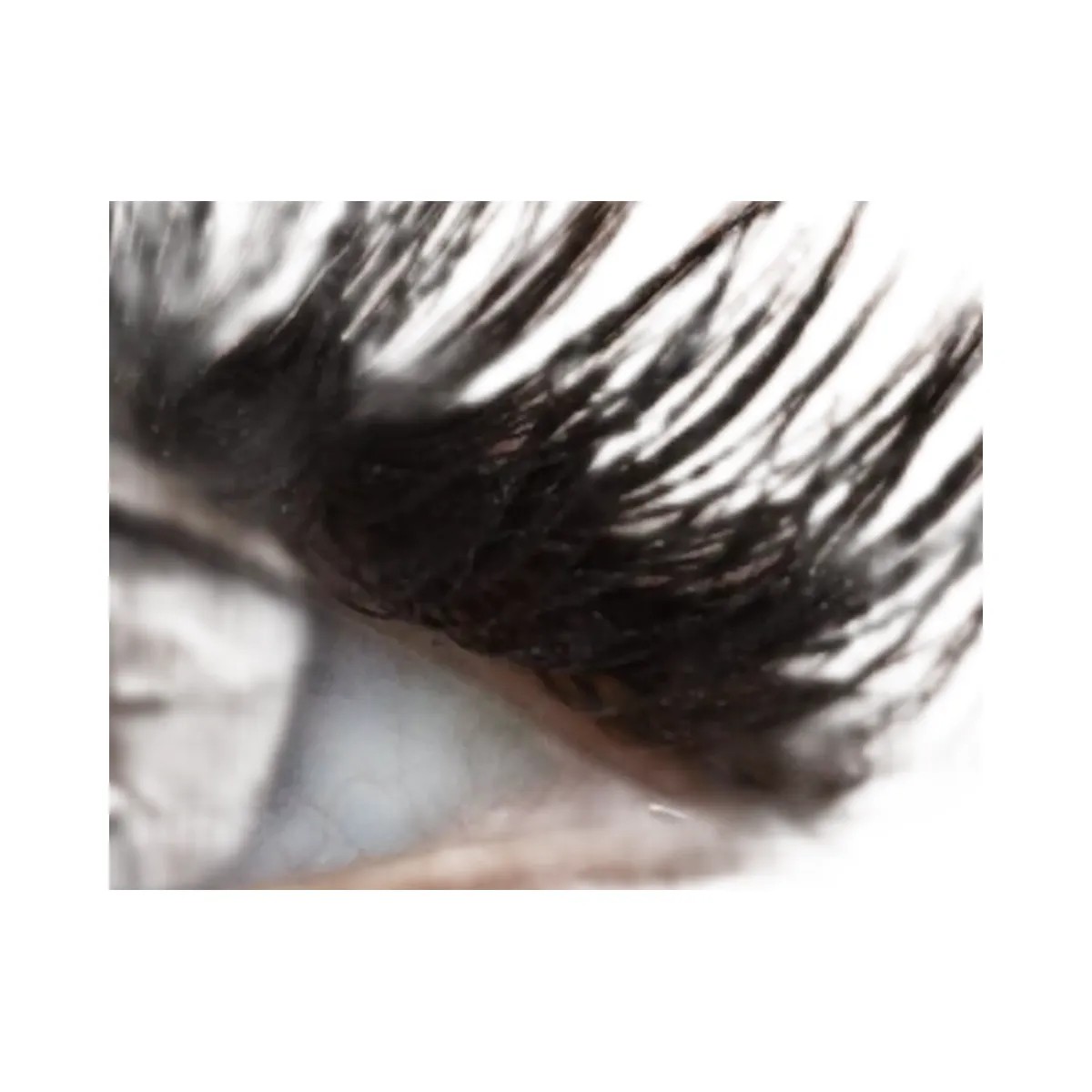 Kylie Kylash False Lashes - HypeFly India View 5