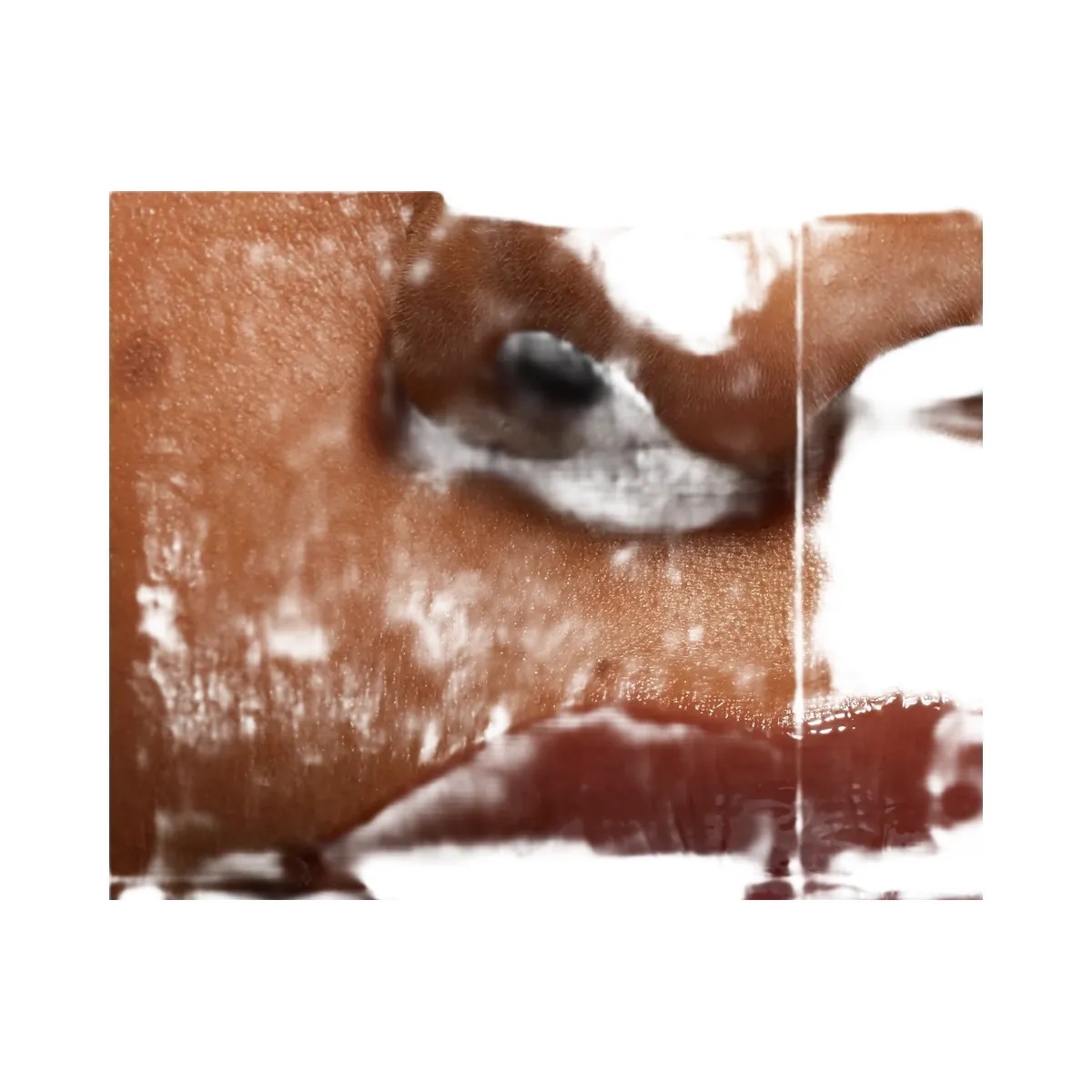 Kylie Lip Oil Chocolate Cookie - HypeFly India View 4