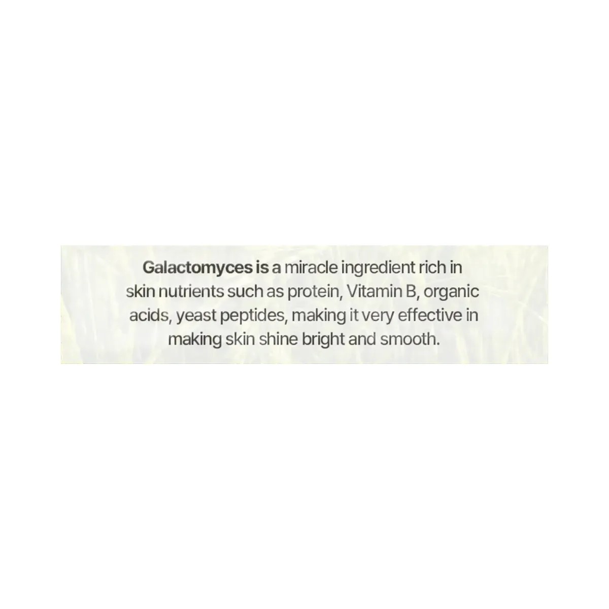 Mixsoon Galactomyces Ferment Essence - HypeFly India View 5