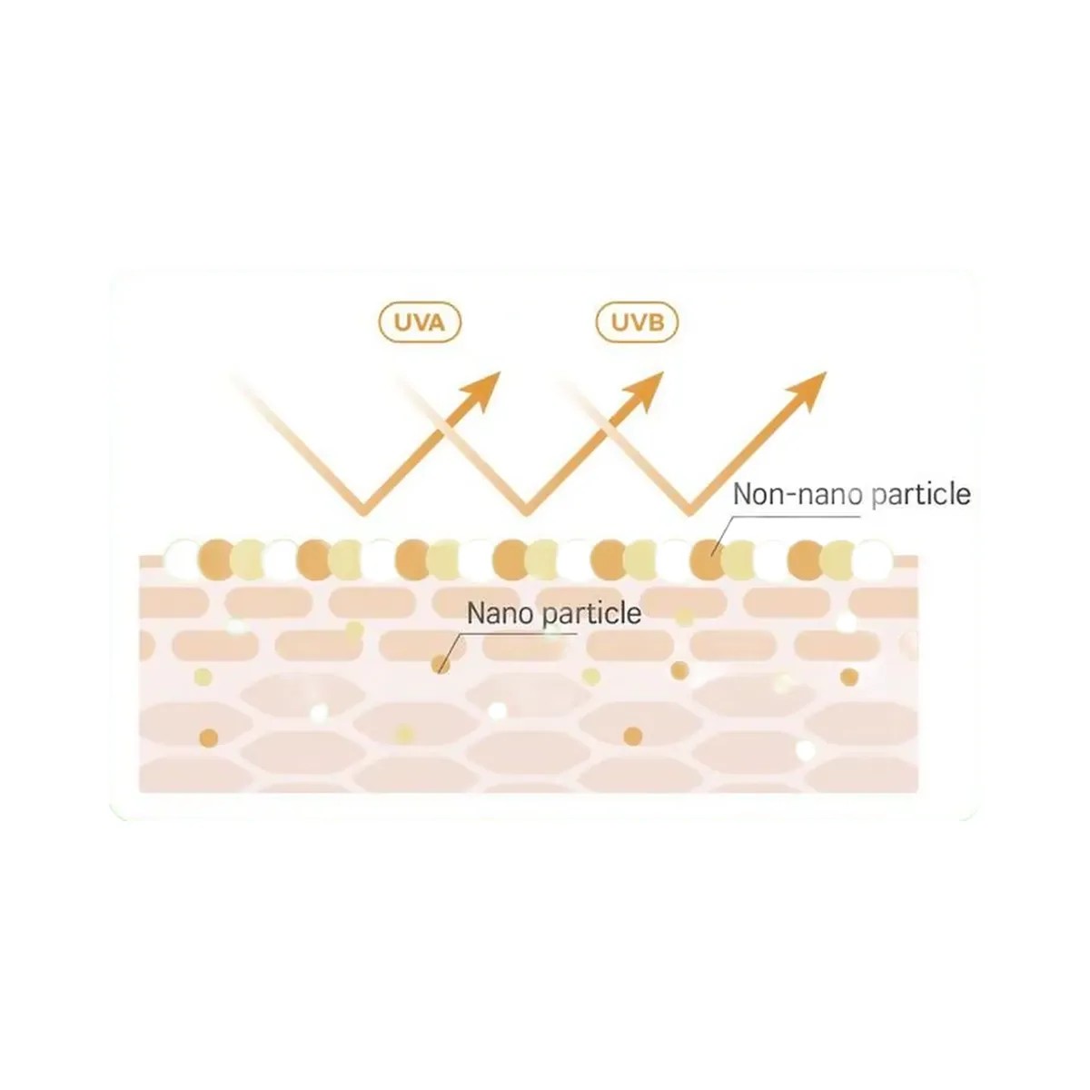 ROUND LAB Birch Juice Mild-Up UVLOCK SPF 50 - HypeFly India View 4