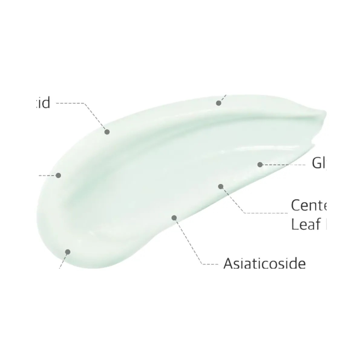 ROUND LAB Pine Calming Cica Cream - HypeFly India View 4