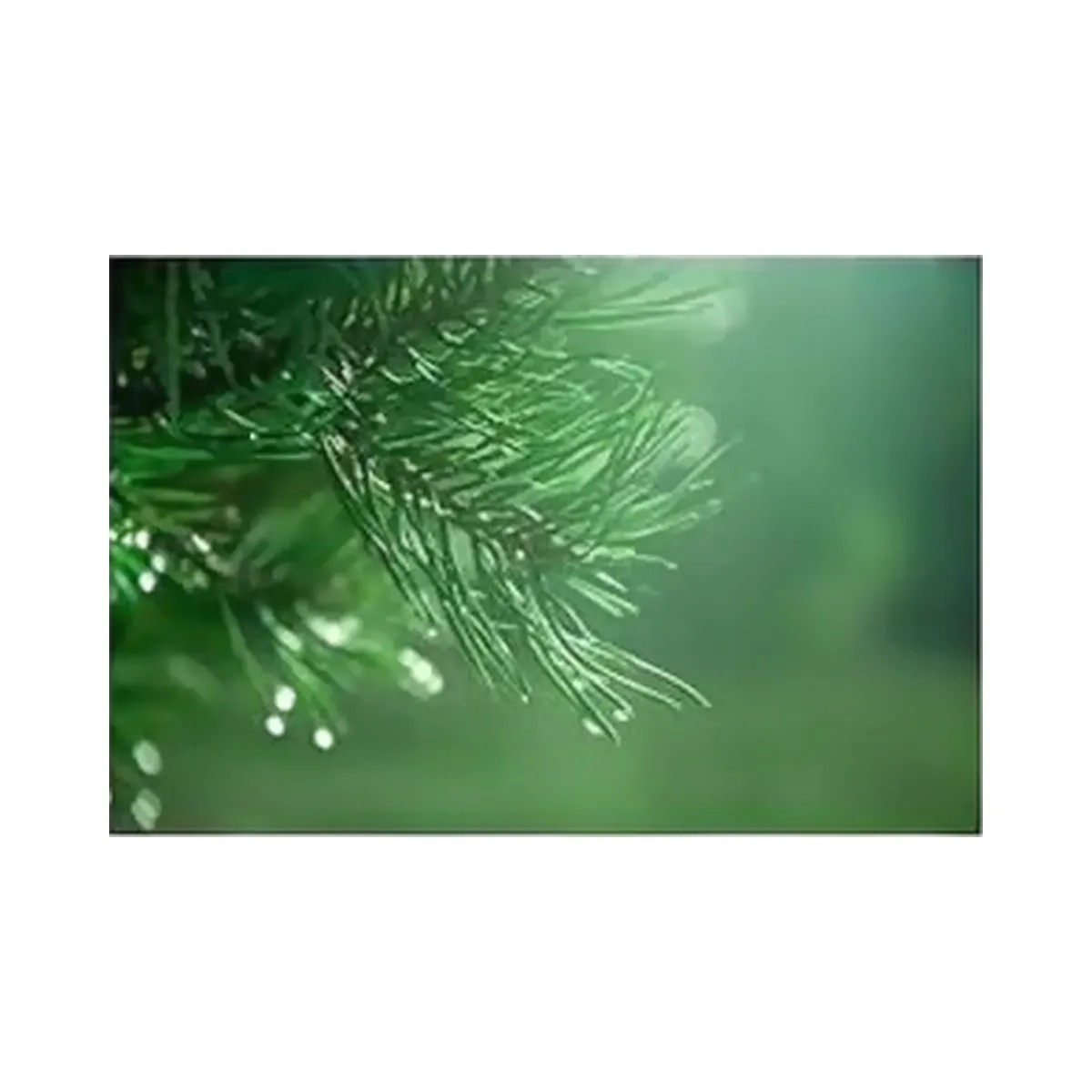 SOME BY MI Beta Panthenol Repair Toner - HypeFly India View 4
