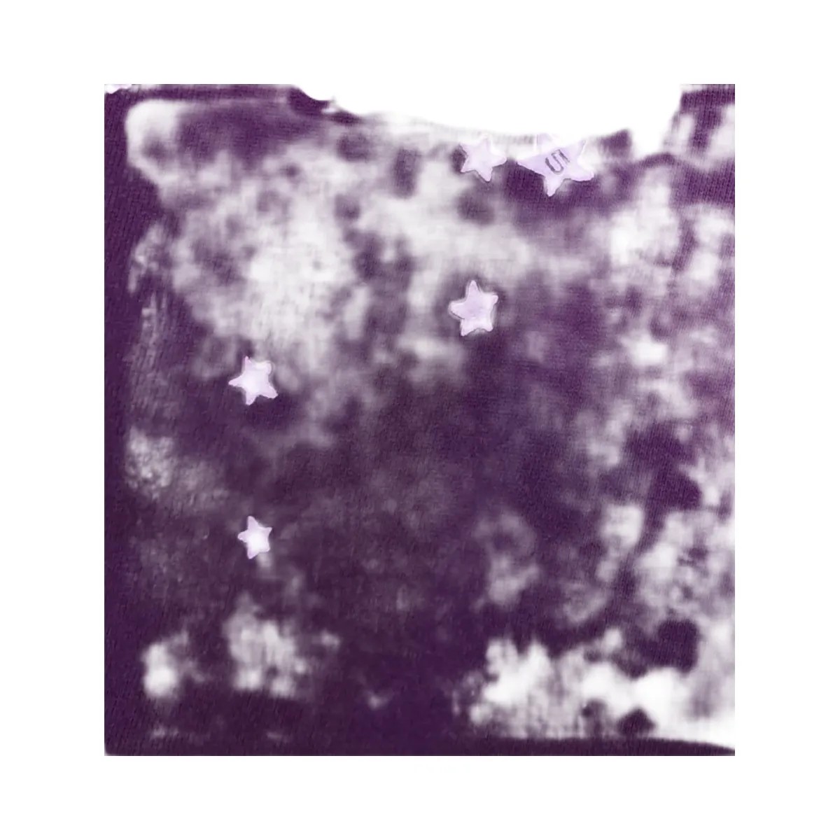 SP5DER Star Og Web V2 Sweatpant Purple - HypeFly India View 2