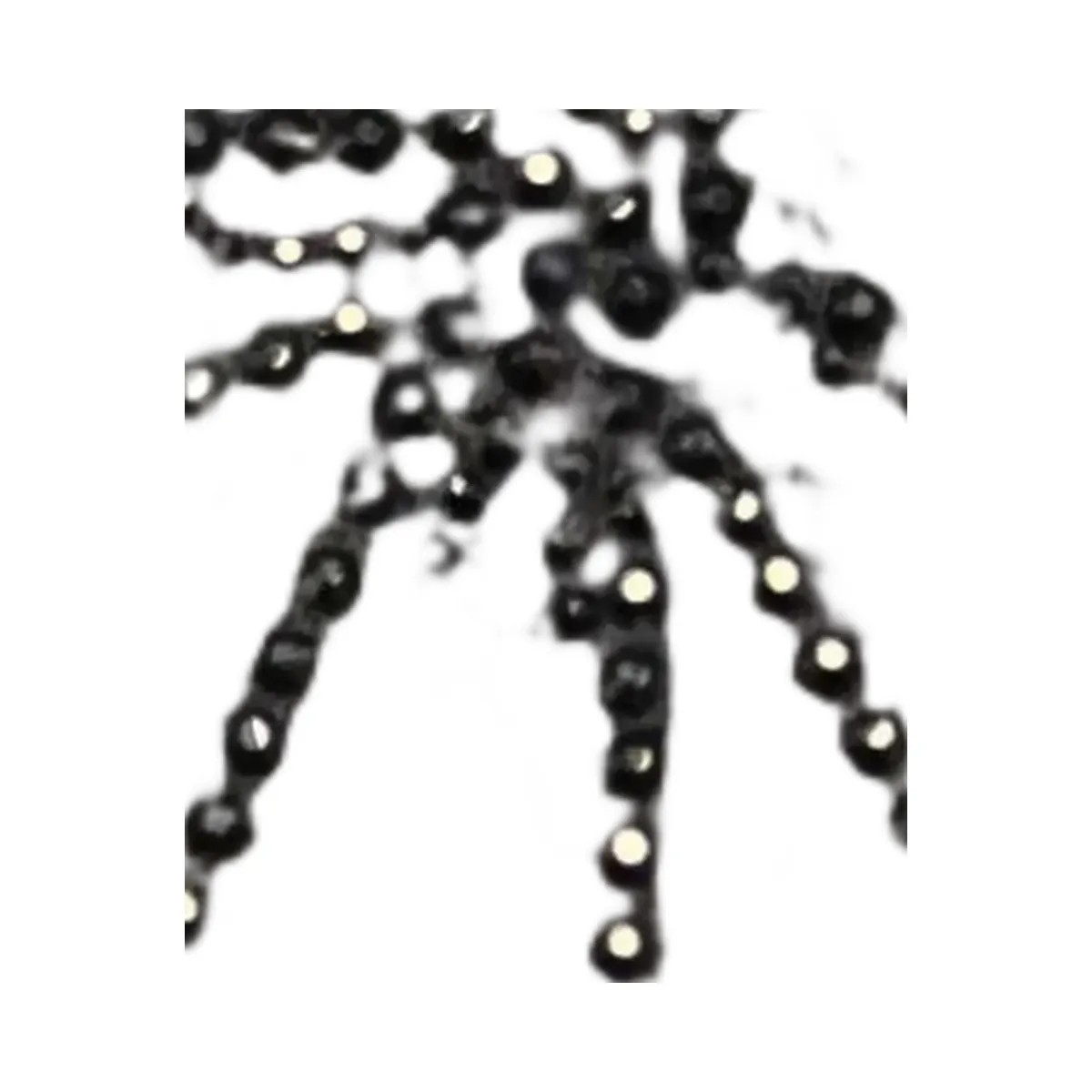 SP5DER Wait Stone Hoodie Black - HypeFly India View 3