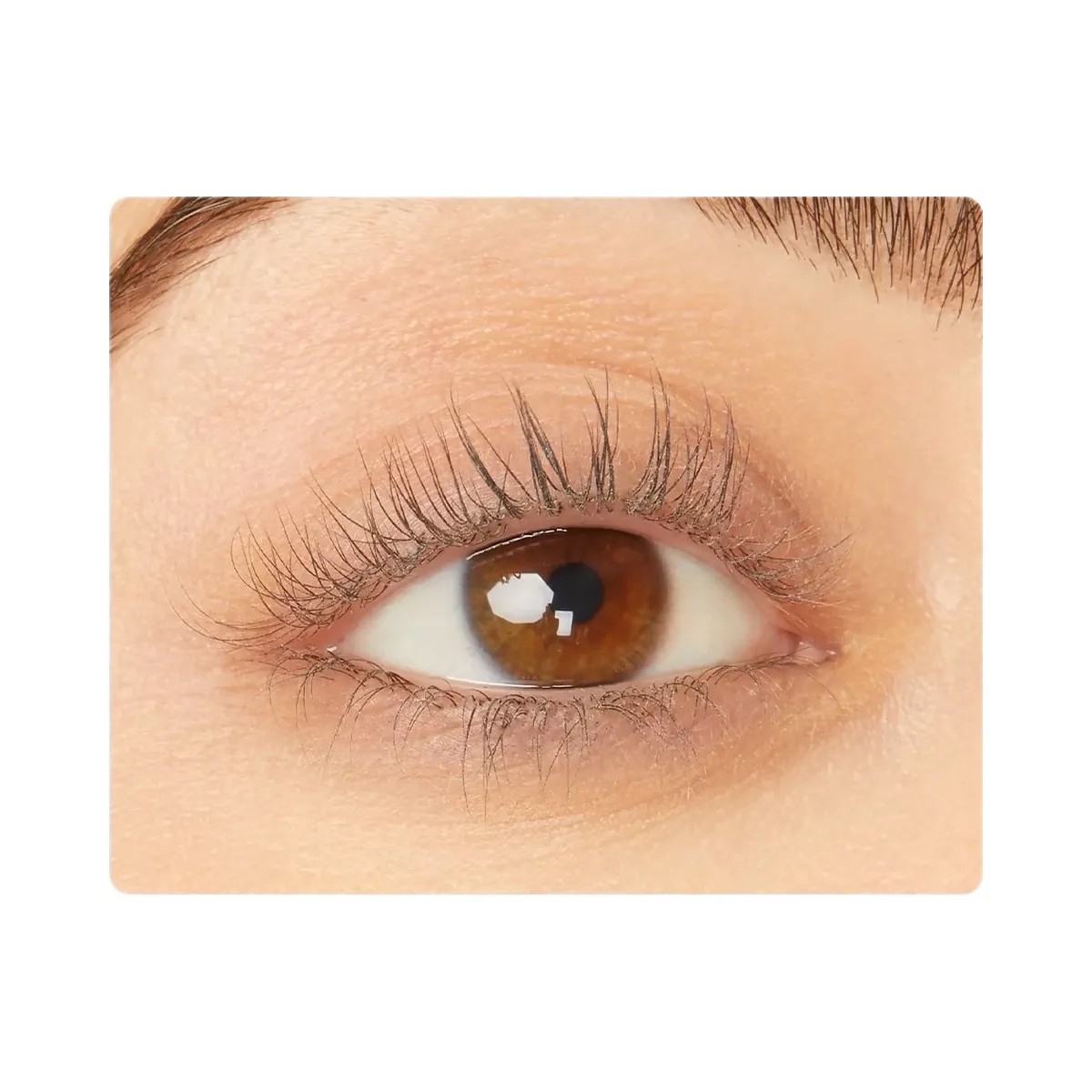 Tarte Maneater Lash Curler Set - HypeFly India View 5