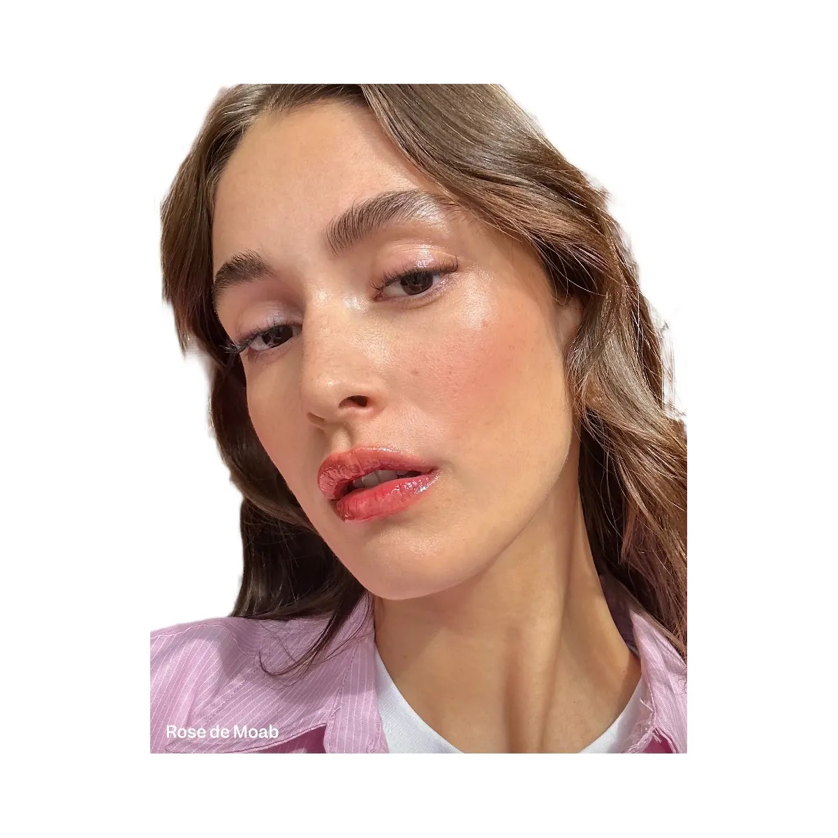 Violette_FR Lip Nectar - Rose de Moab - HypeFly India View 3
