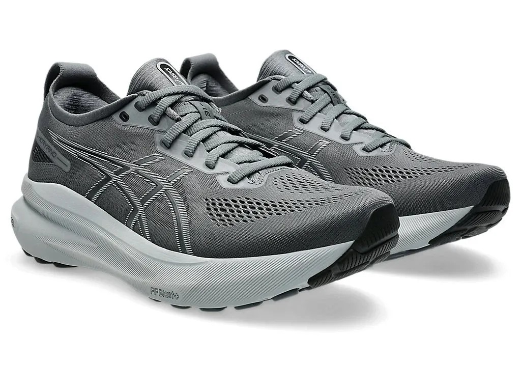 Asics Gel Kayano 31 Steel Grey/Piedmont Grey - HypeFly India View 2