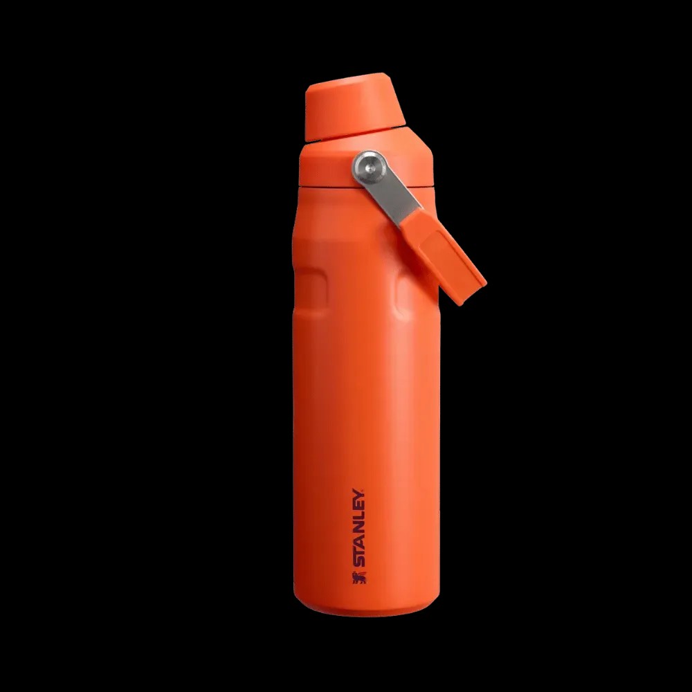 Stanley IceFlow Bottle with Fast Flow Lid (24 OZ) Tigerlily Plum - HypeFly India View 1