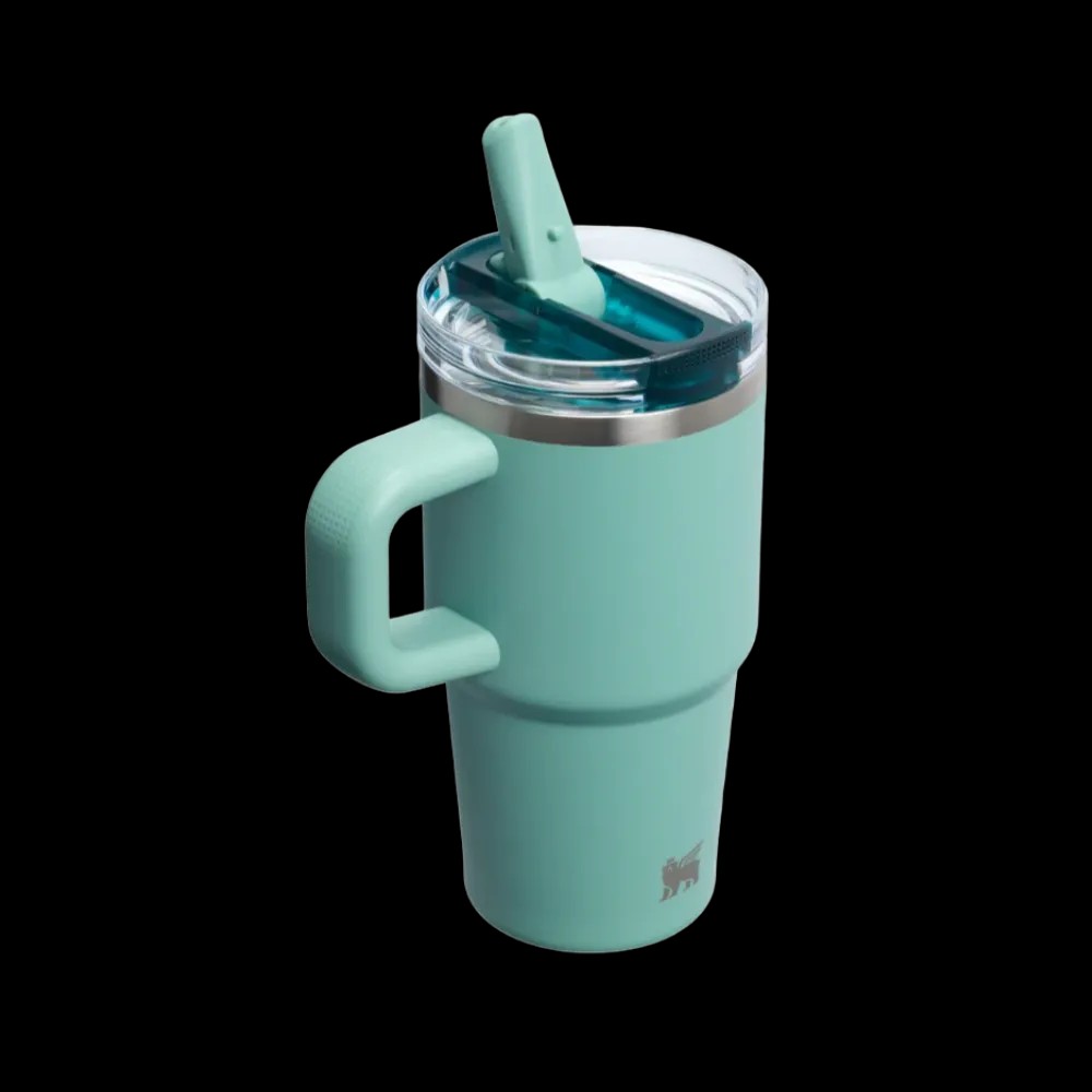Stanley Quencher ProTour Flip Straw Tumbler 20 OZ Spring Green - HypeFly India View 3