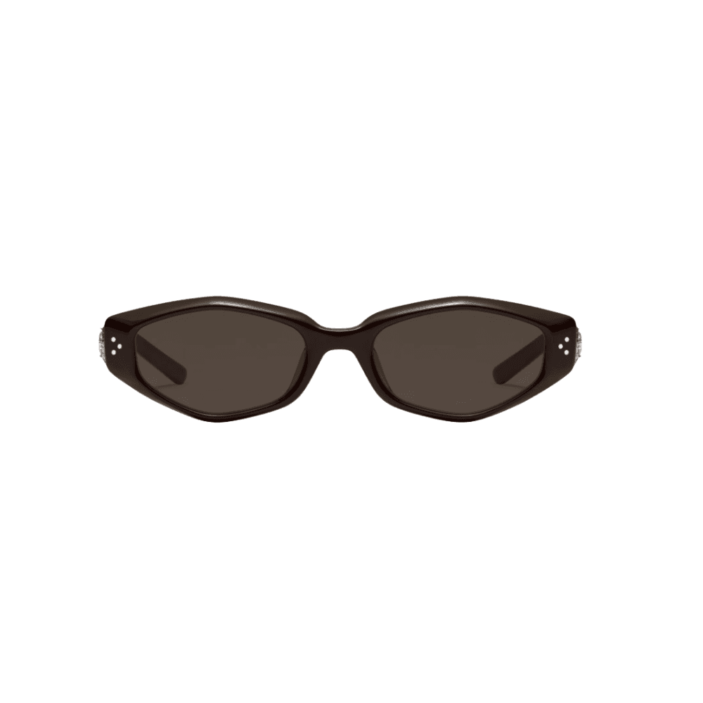 Gentle Monster Vegax BR3 Brown Lenses - HypeFly India View 1