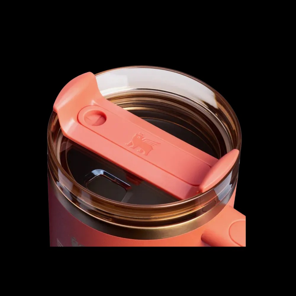 Stanley Quencher H2.0 FlowState Tumbler Spice - HypeFly India View 2