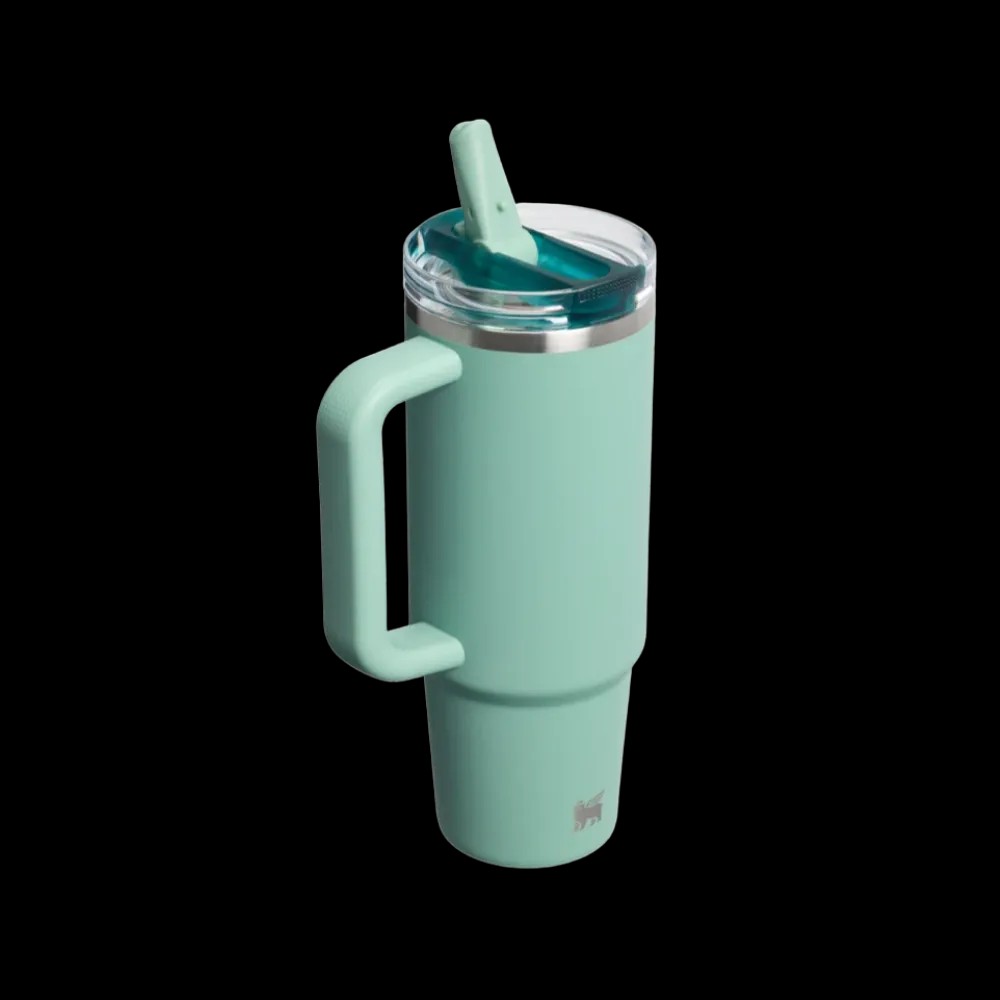 Stanley Quencher ProTour Flip Straw Tumbler 30 OZ Spring Green - HypeFly India View 2