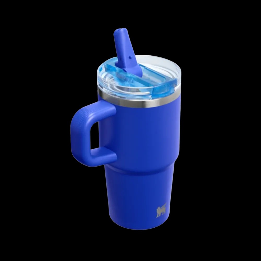 Stanley Quencher ProTour Flip Straw Tumbler 20 OZ Cobalt - HypeFly India View 3