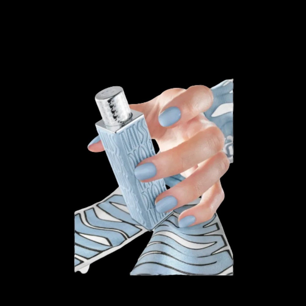 Limited-Edition Miss Dior Mini Miss Case Pale Blue - HypeFly India View 2