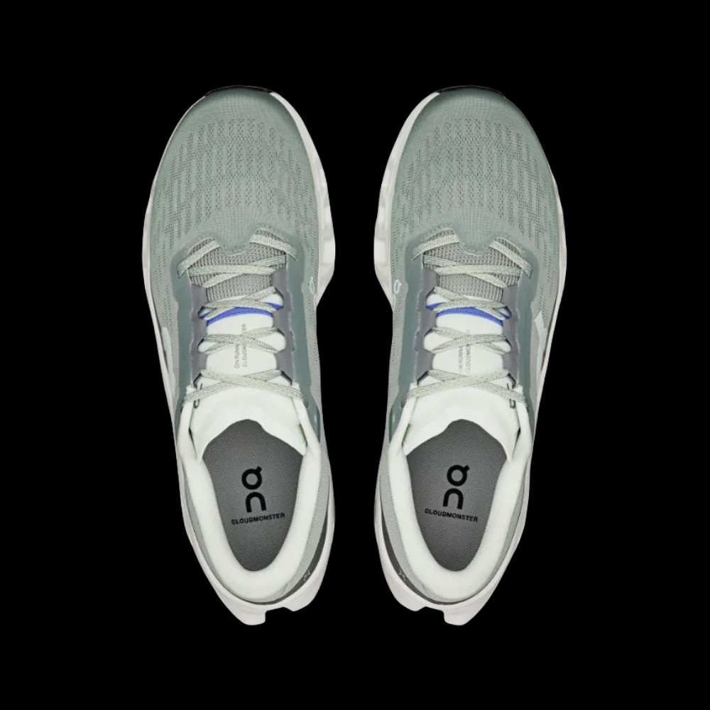 On Running Cloudmonster 3 Tin Ivory - HypeFly India View 4