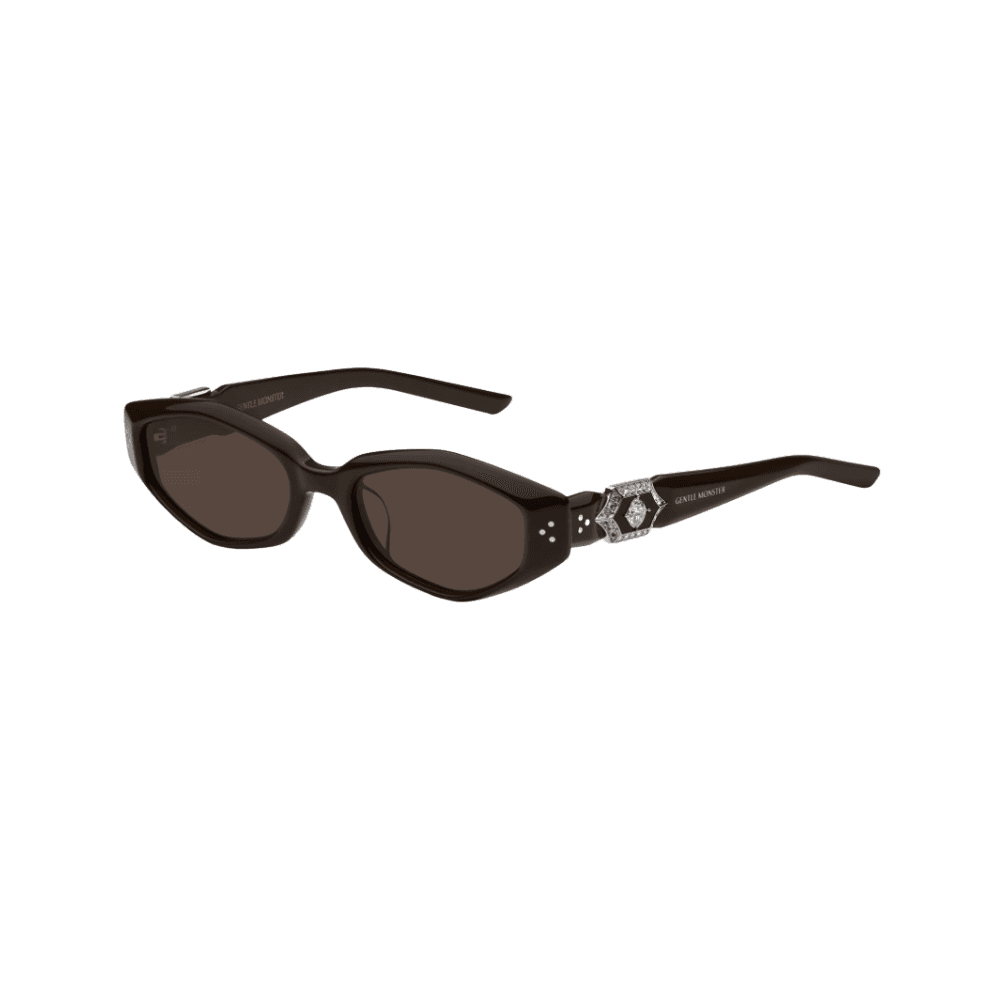 Gentle Monster Vegax BR3 Brown Lenses - HypeFly India View 2