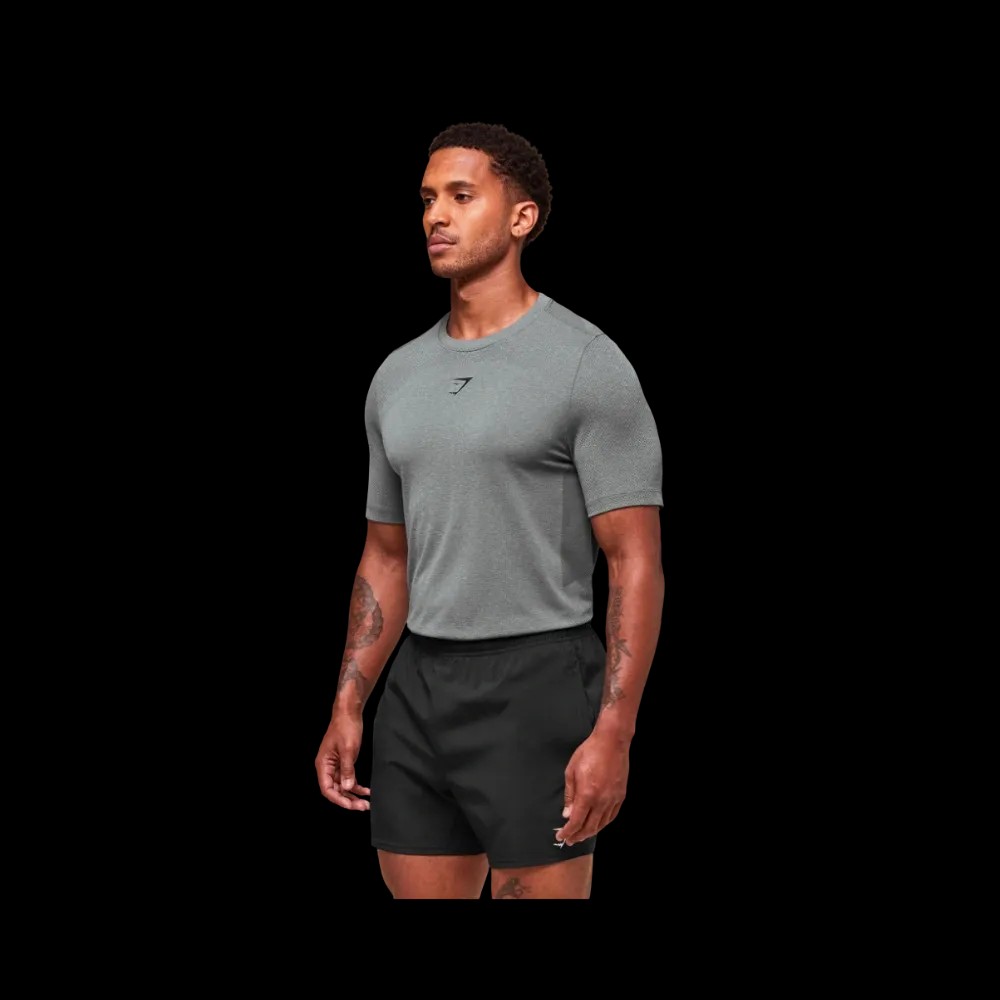 Gymshark Lightweight Seamless T-Shirt Light Grey - HypeFly India View 4