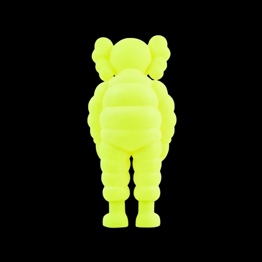 Kaws “What Party” Figure - HypeFly India View 2