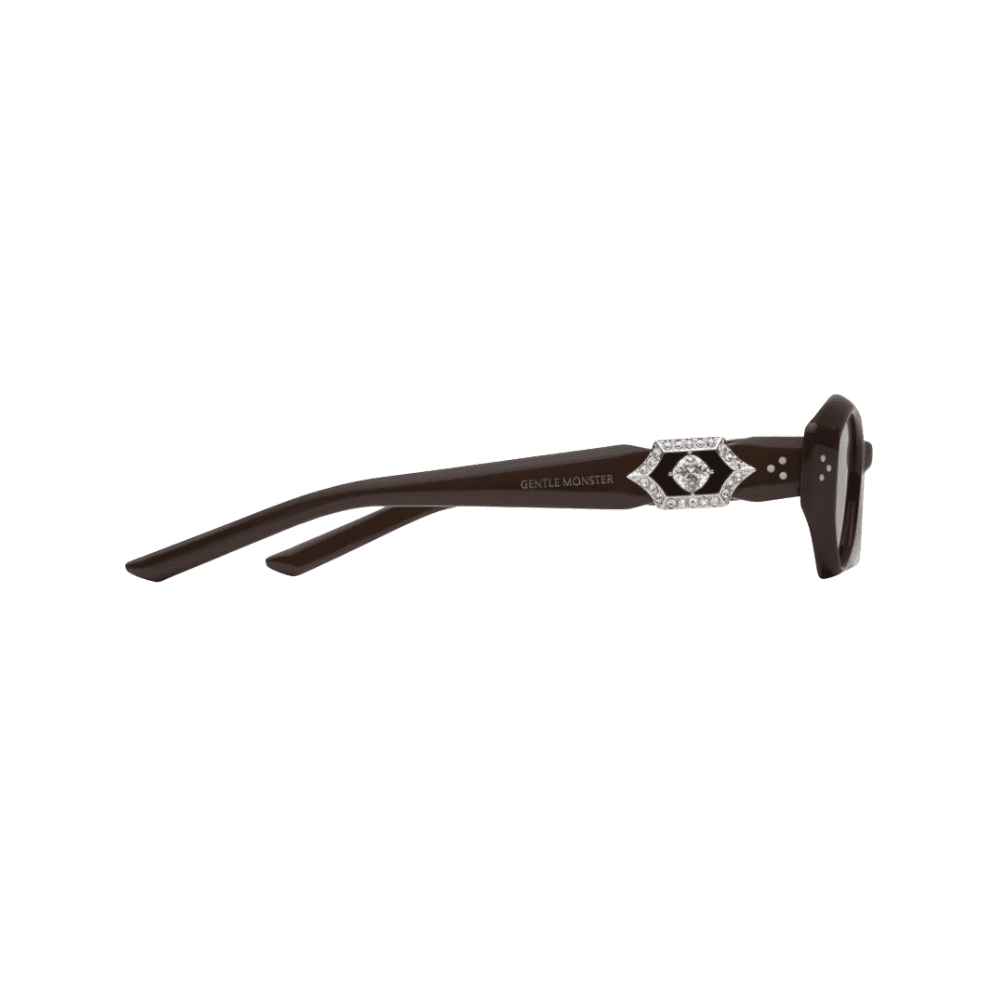 Gentle Monster Vegax BR3 Brown Lenses - HypeFly India View 3