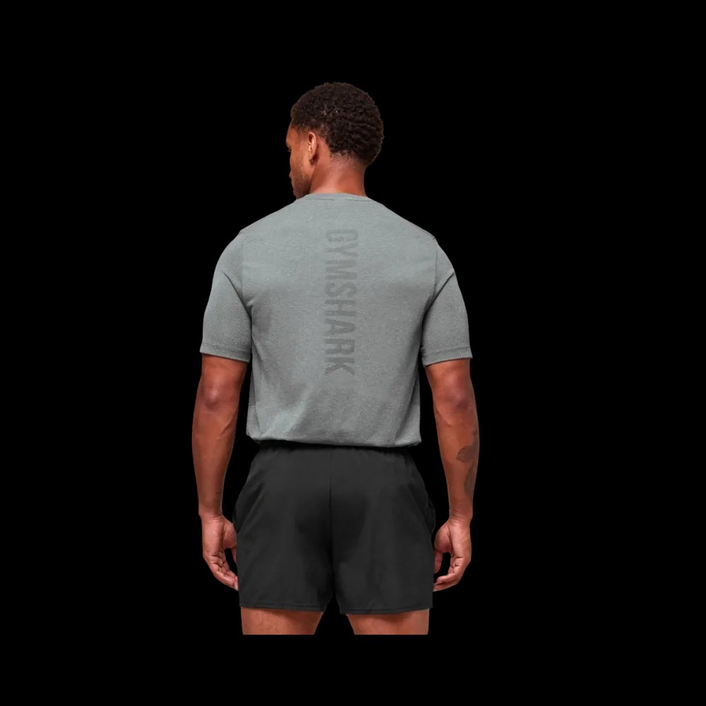 Gymshark Lightweight Seamless T-Shirt Light Grey - HypeFly India View 2