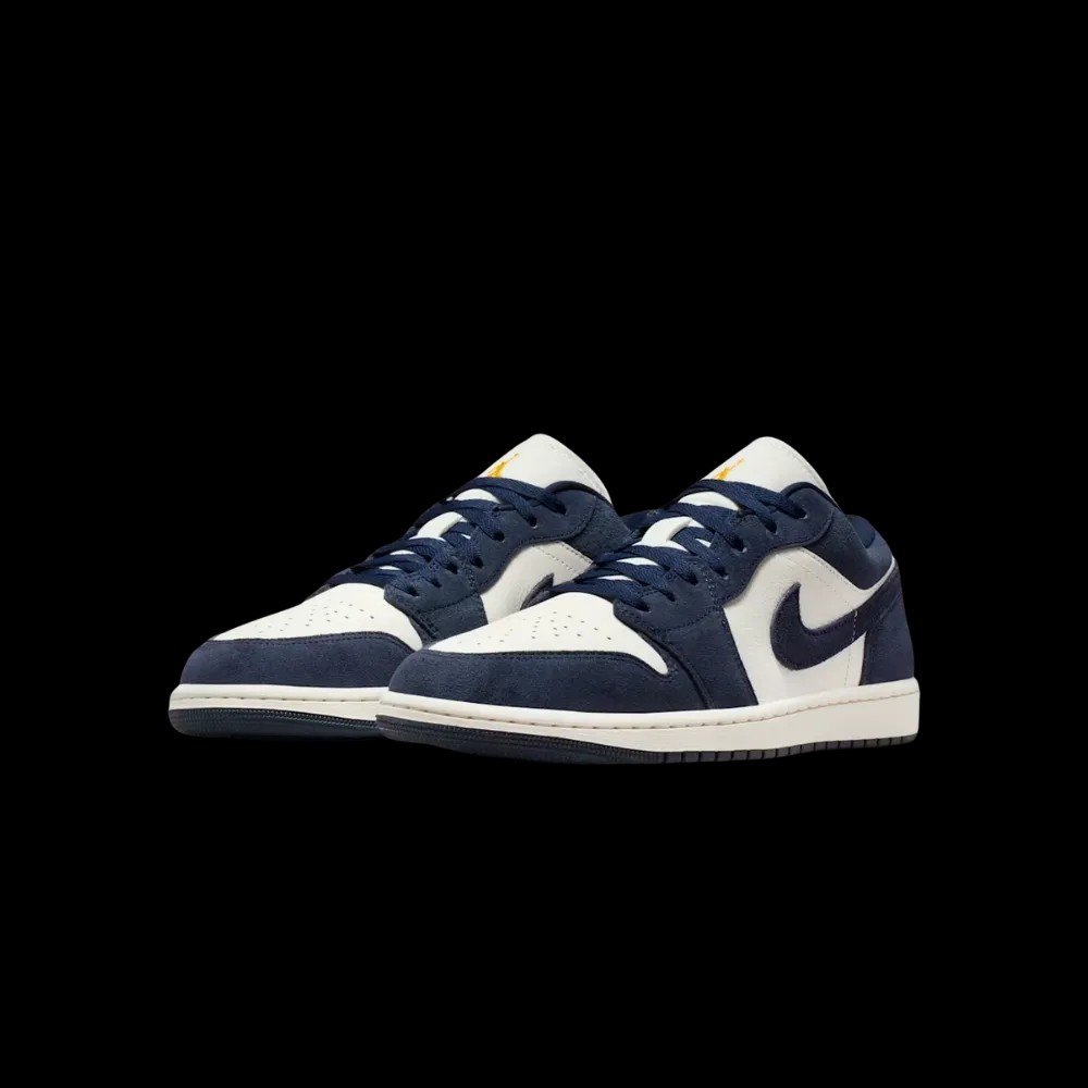 Air Jordan 1 Low SE Obsidian Suede - HypeFly India View 5