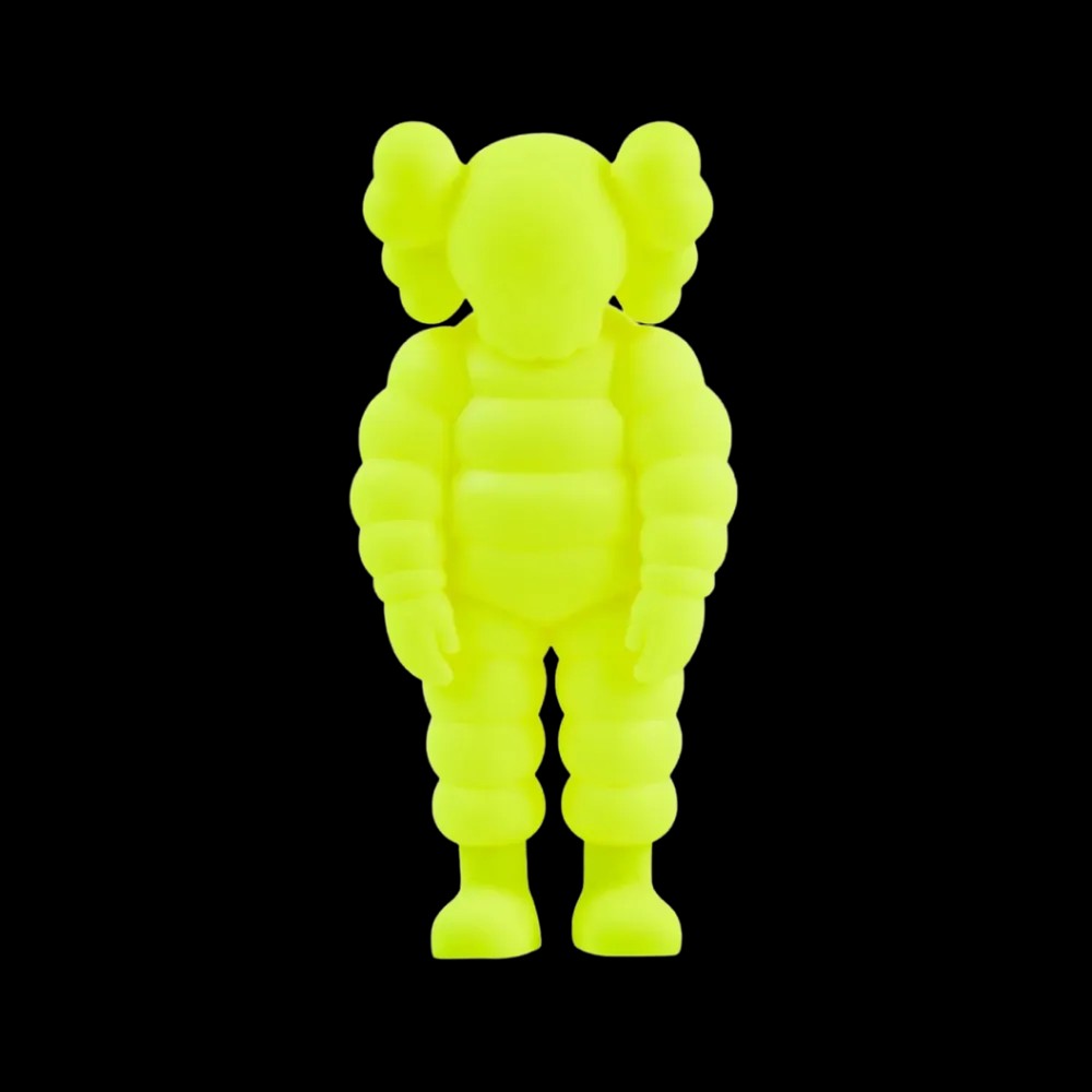 Kaws “What Party” Figure - HypeFly India View 4