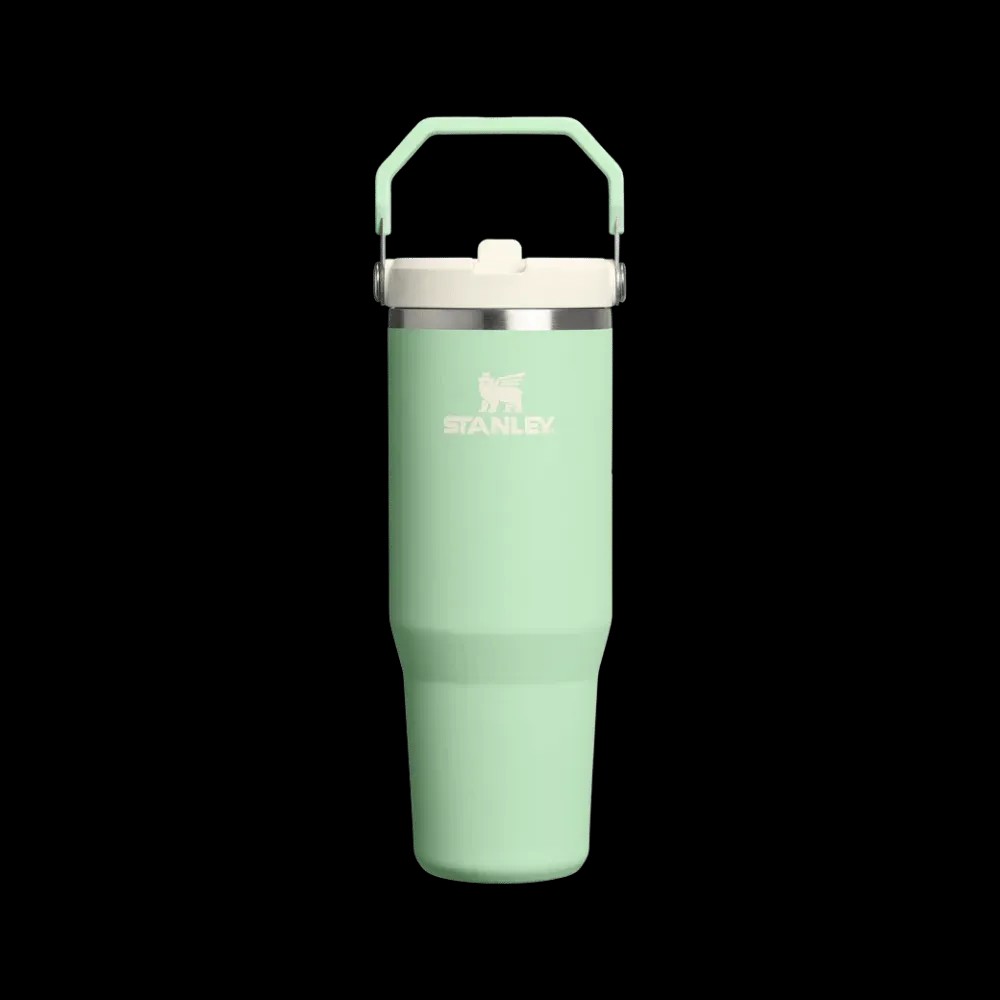 Stanley Flip Straw Iceflow Tumbler Pistachio - HypeFly India View 1