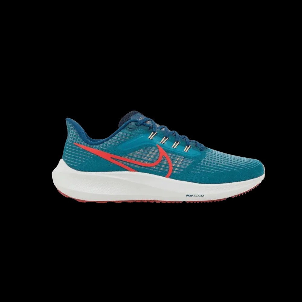 Nike Air Zoom Pegasus 39 'Spruce Crimson' - HypeFly India View 1