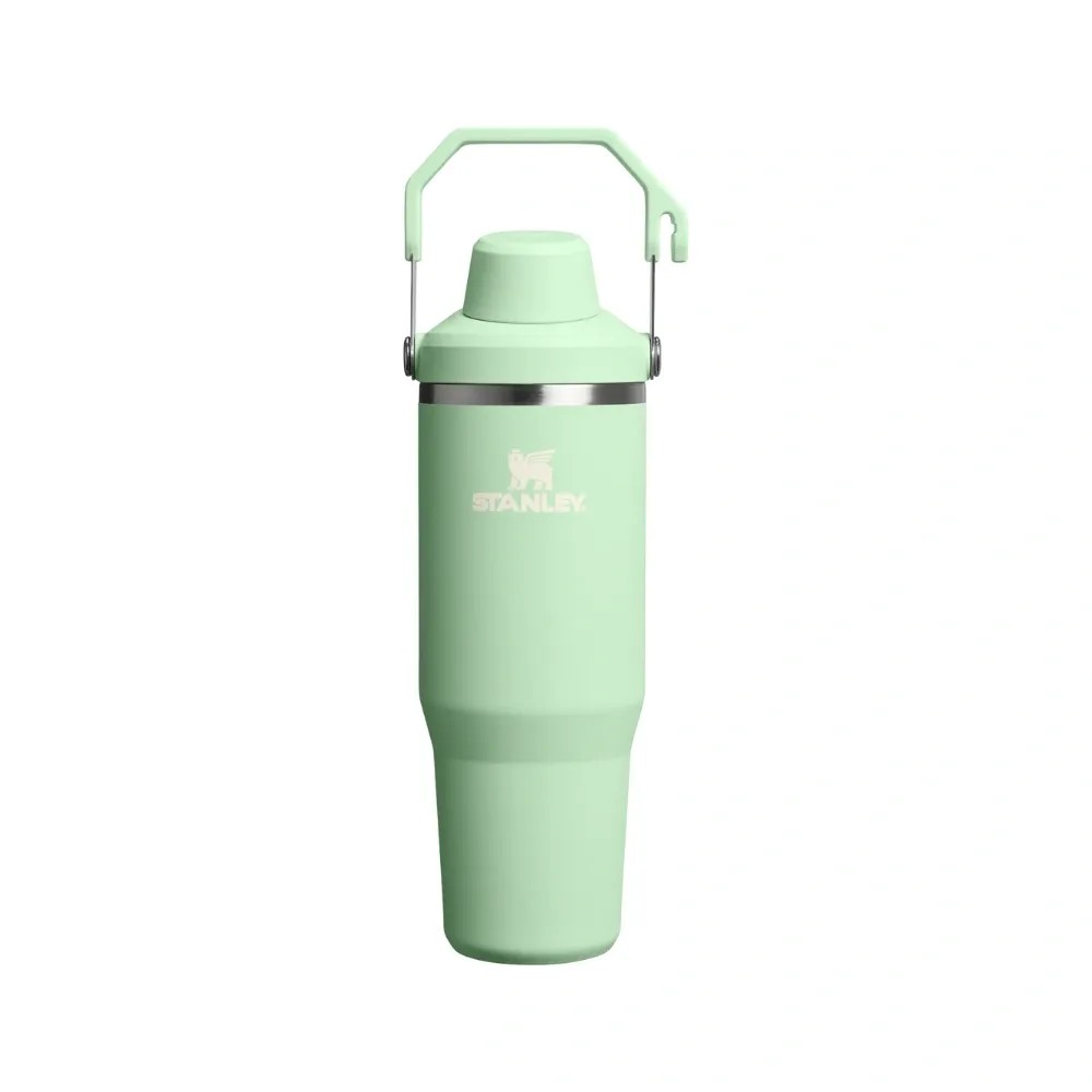Stanley IceFlow Tumbler with Fast Flow Lid (30OZ) Pistachio - HypeFly India View 1