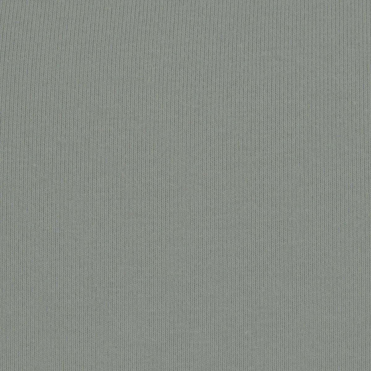 Skims Cotton Jersey T-shirt Mineral - HypeFly India View 2