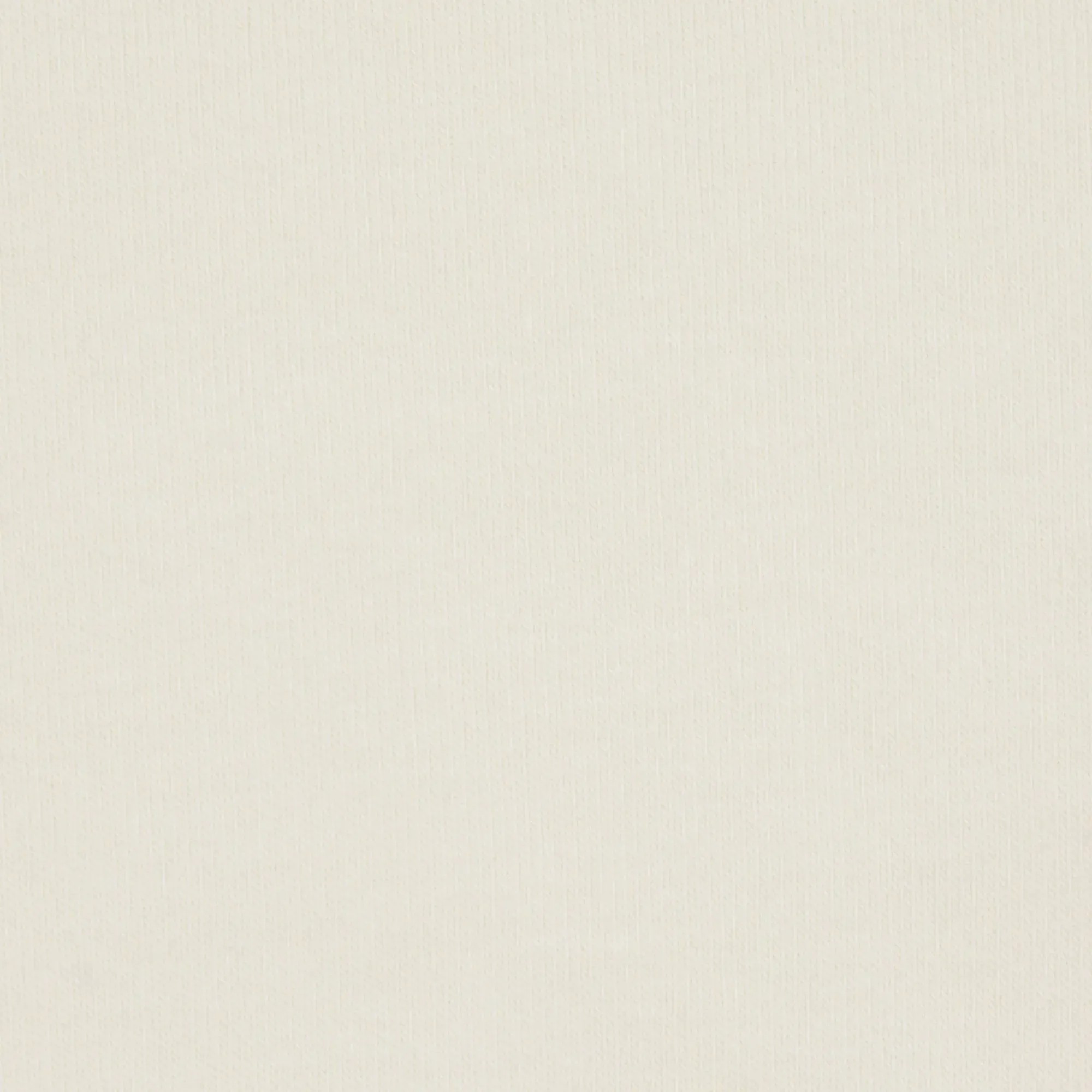 Skims Cotton Jersey Long Sleeve T-Shirt Bone - HypeFly India View 3