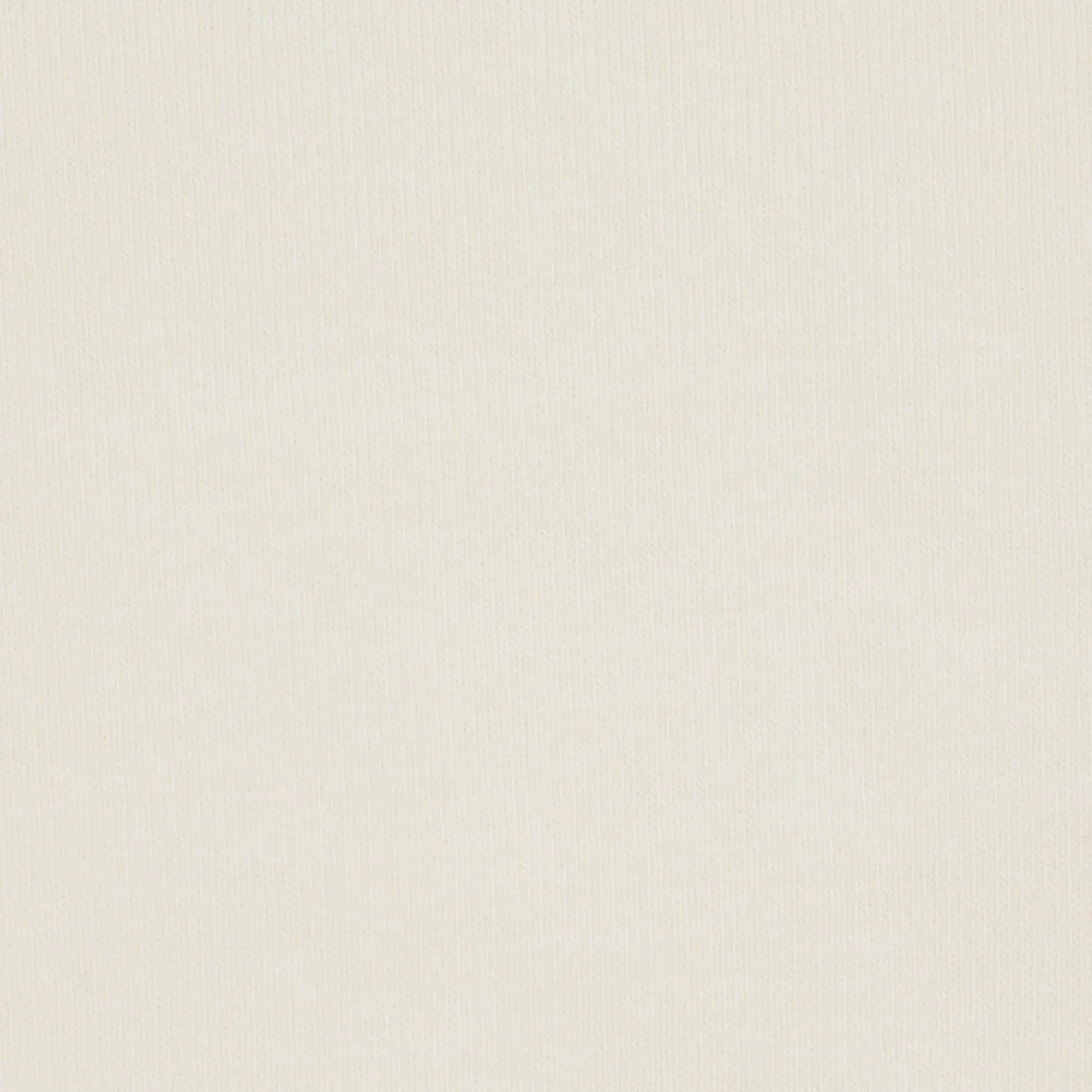 Skims Cotton Jersey T-shirt Bone - HypeFly India View 2