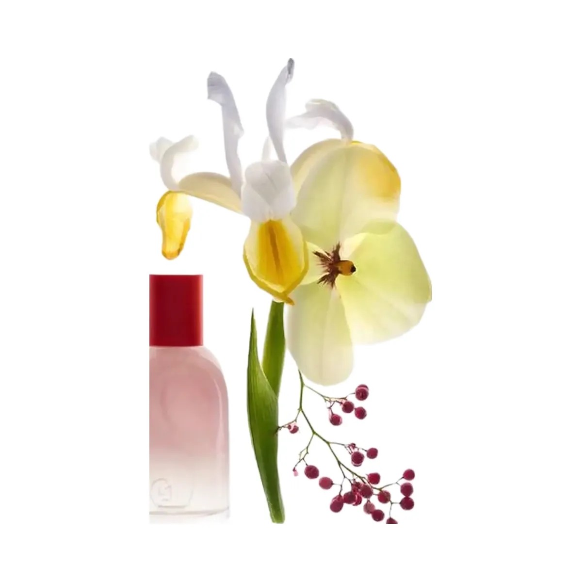 Glossier Glossier You Rve Eau de Parfum Travel Spray - HypeFly India View 6