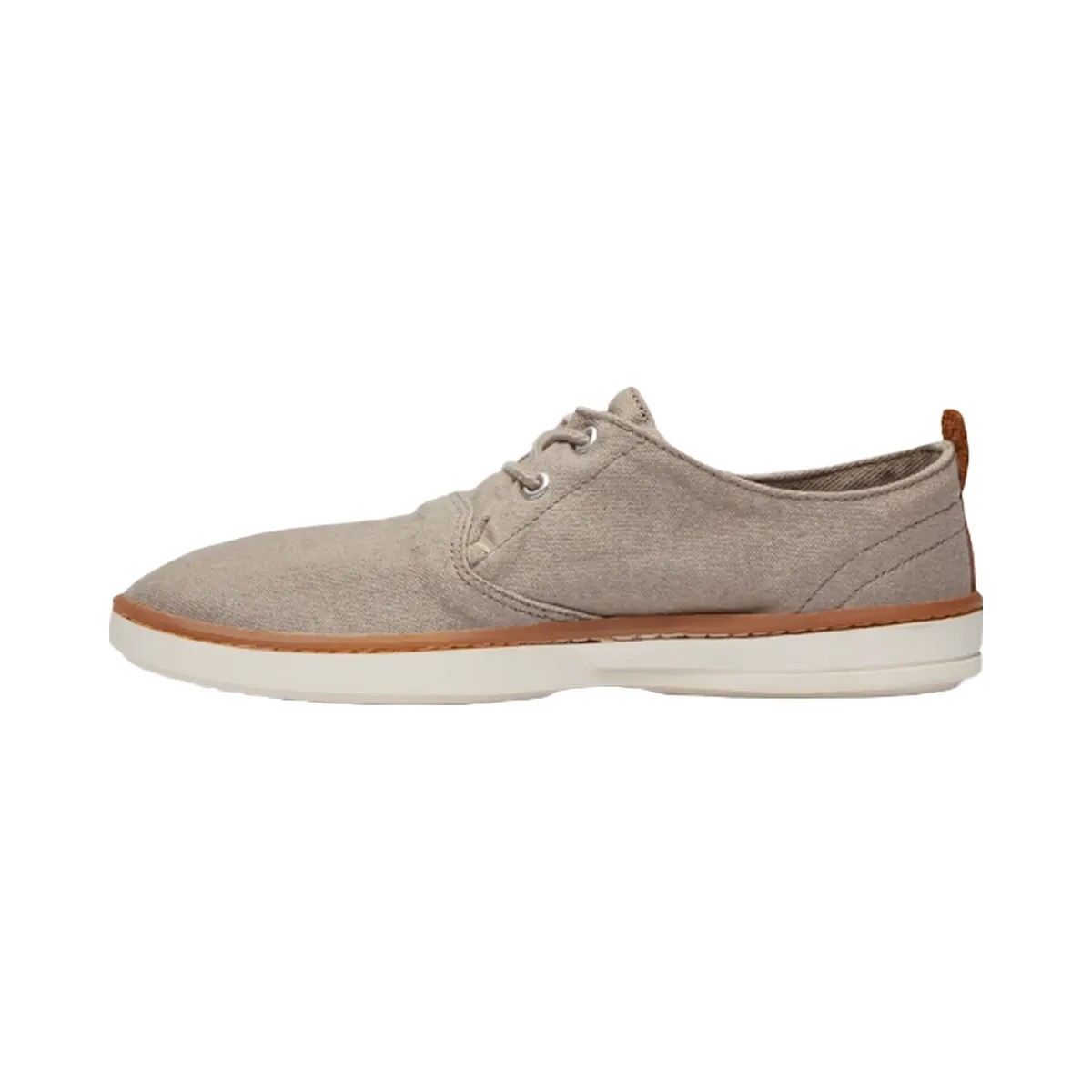 Timberland Hookset Canvas Sneaker Light Taupe Canvas Men'S - HypeFly India View 5