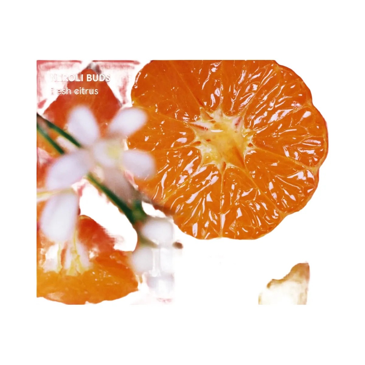 Glossier Orange Blossom Neroli Body & Hair Fragrance Mist - HypeFly India View 4