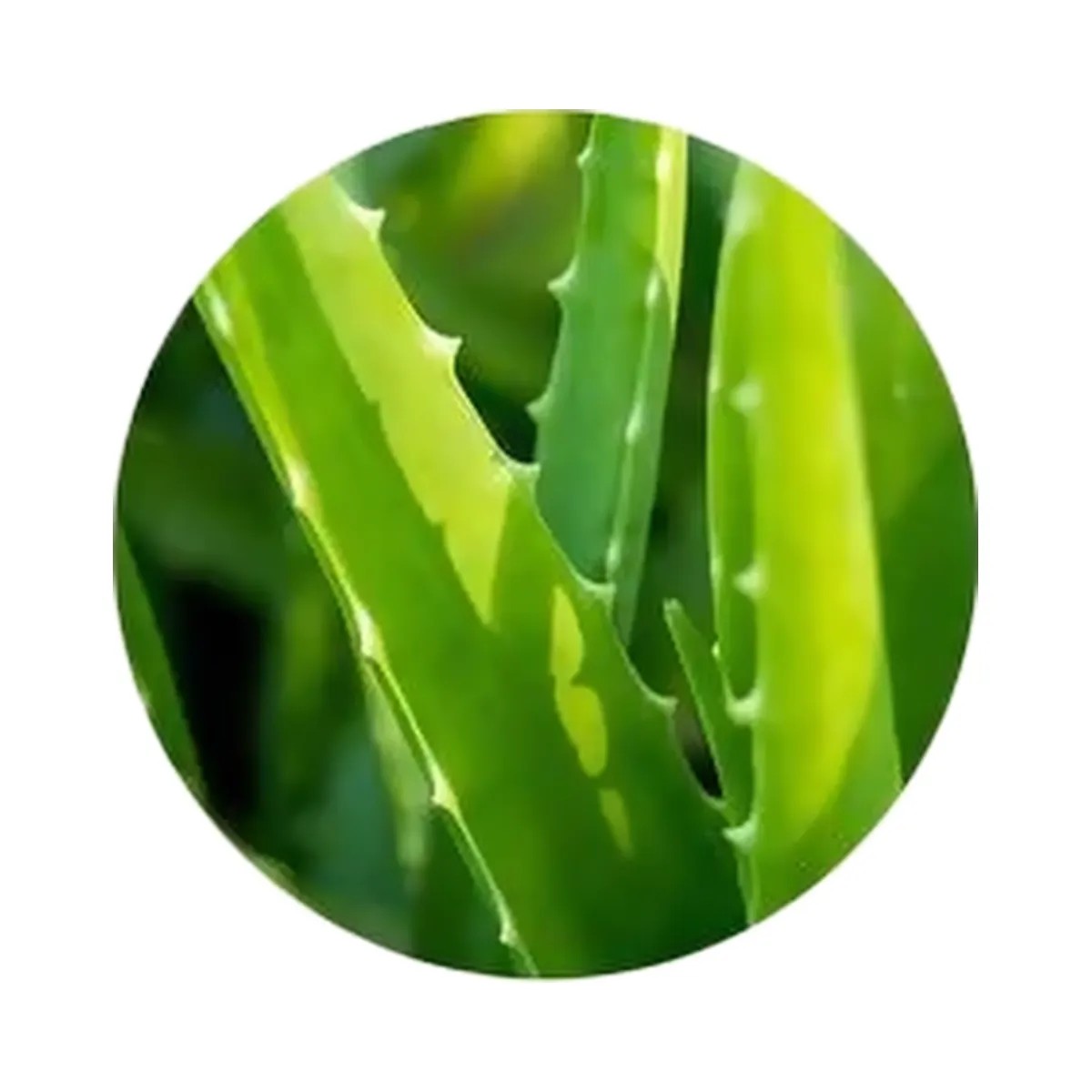 Tarte Maracuja Vegan Tinted Moisturizer - HypeFly India View 6