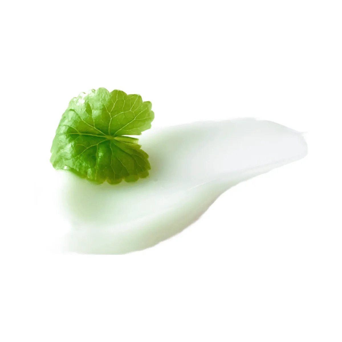Beauty of Joseon Light On Serum: Centella + Vita C - HypeFly India View 3