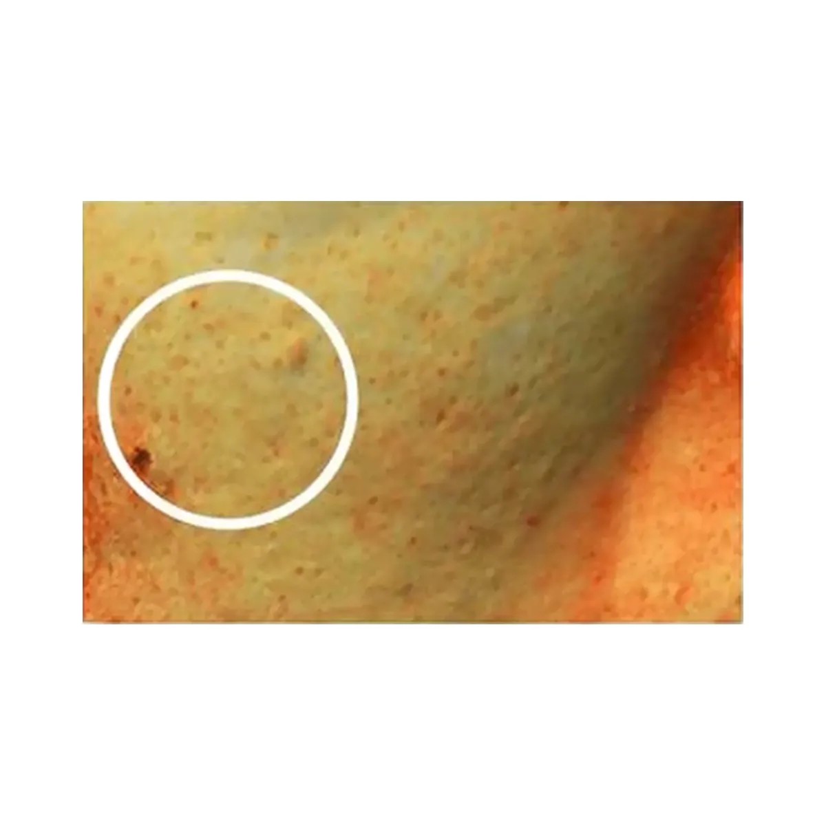 celimax Pore+Dark Spot Brightening Serum - HypeFly India View 5