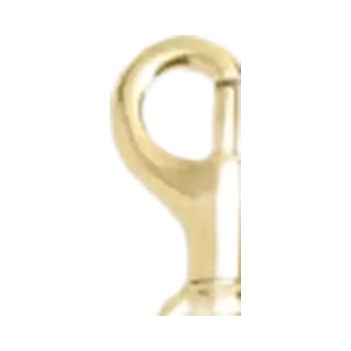 Coach Bag Charm Chain With Cherry Charms in Gold Gold - HypeFly India View 1