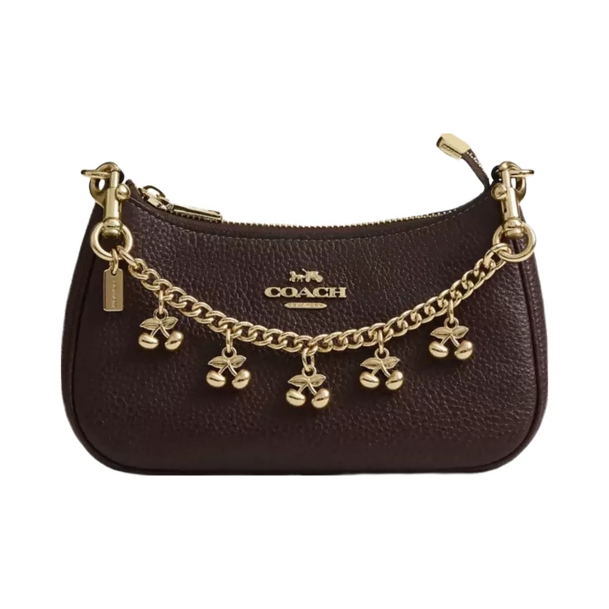 Coach Bag Charm Chain With Cherry Charms in Gold Gold - HypeFly India View 2