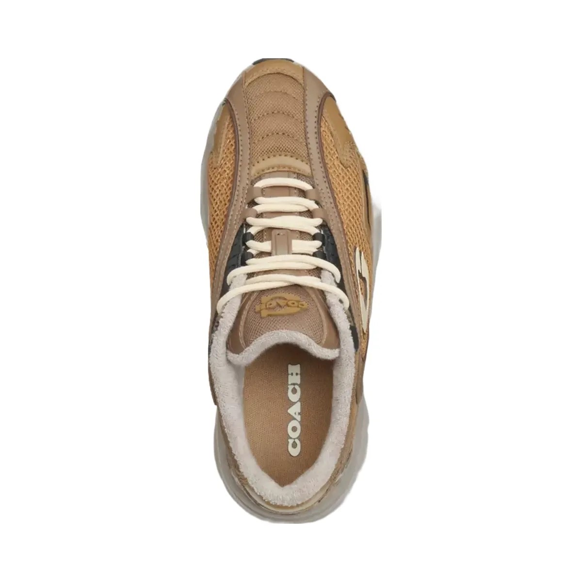 Coach Bolt Runner Sneaker in Dark Stone Multi - HypeFly India View 3