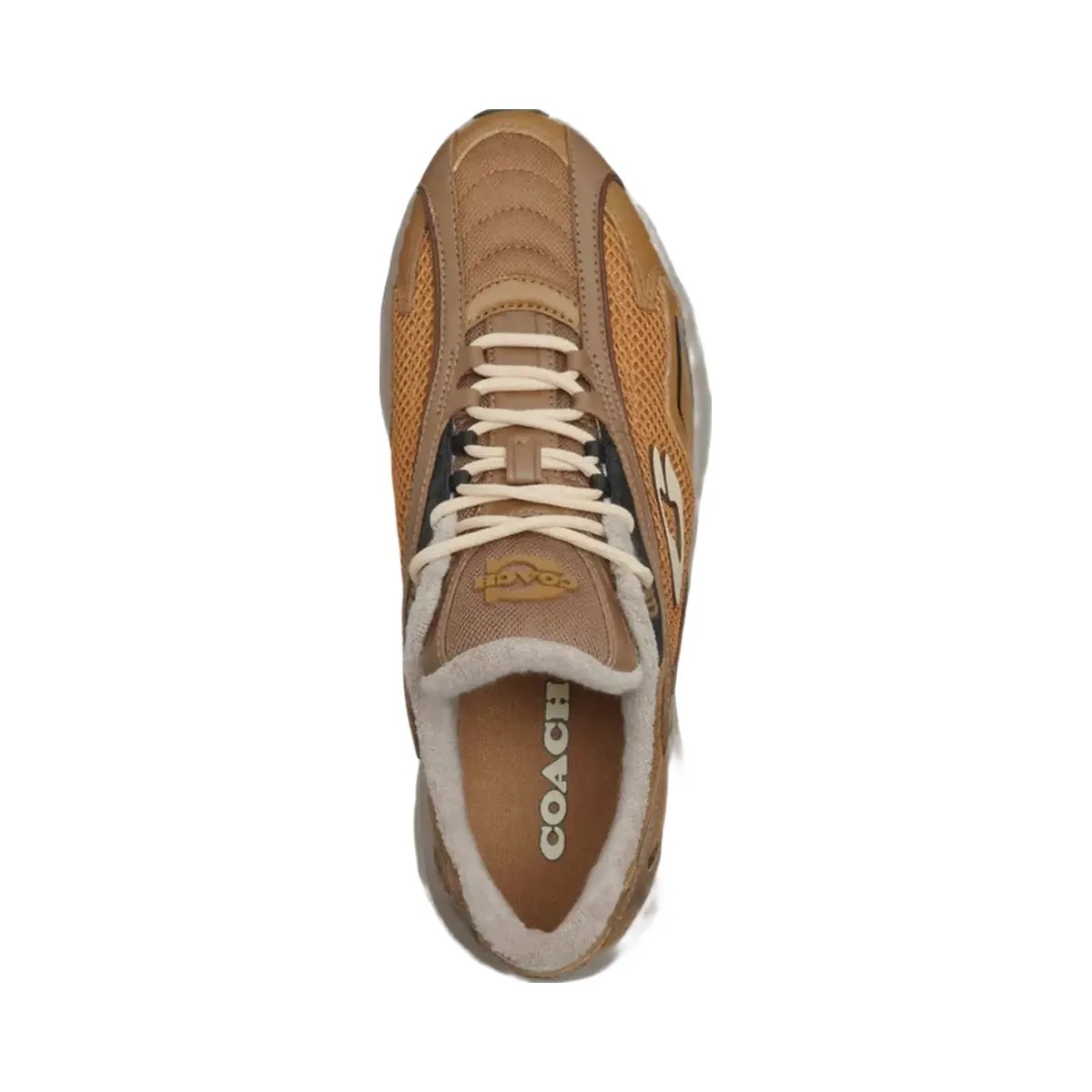 Coach Bolt Runner Sneaker in Dark Stone Multi - HypeFly India View 3